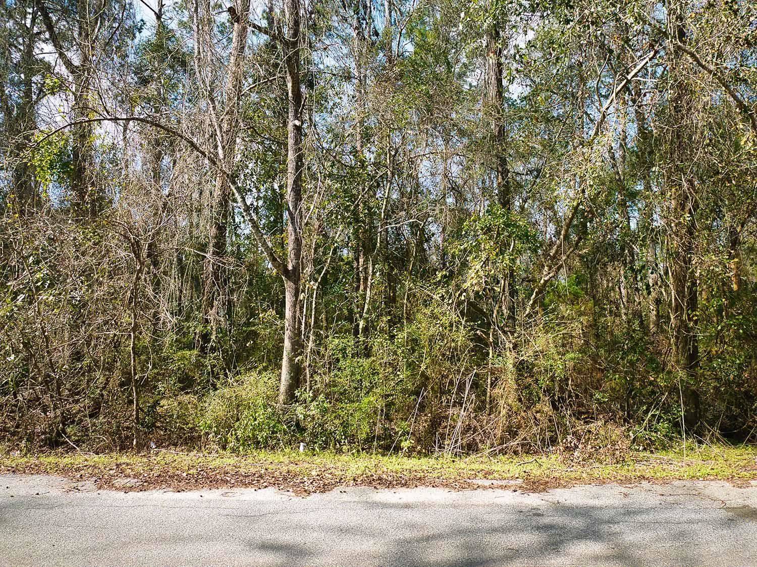 Greenville, FL 32331,398 SW Obadiah Street
