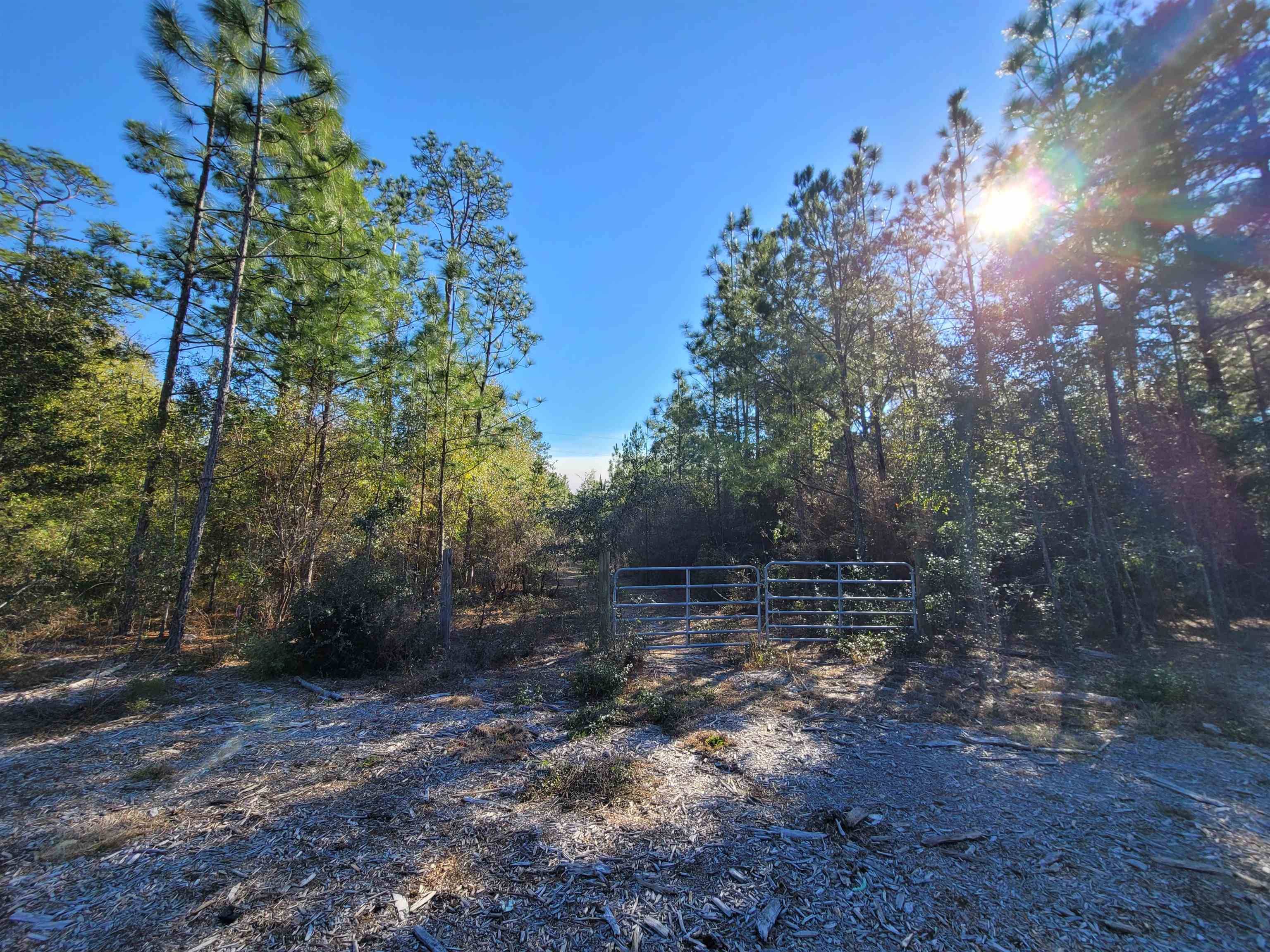 Tallahassee, FL 32310,LOTS 1-6 BLUE LAKE Run #--