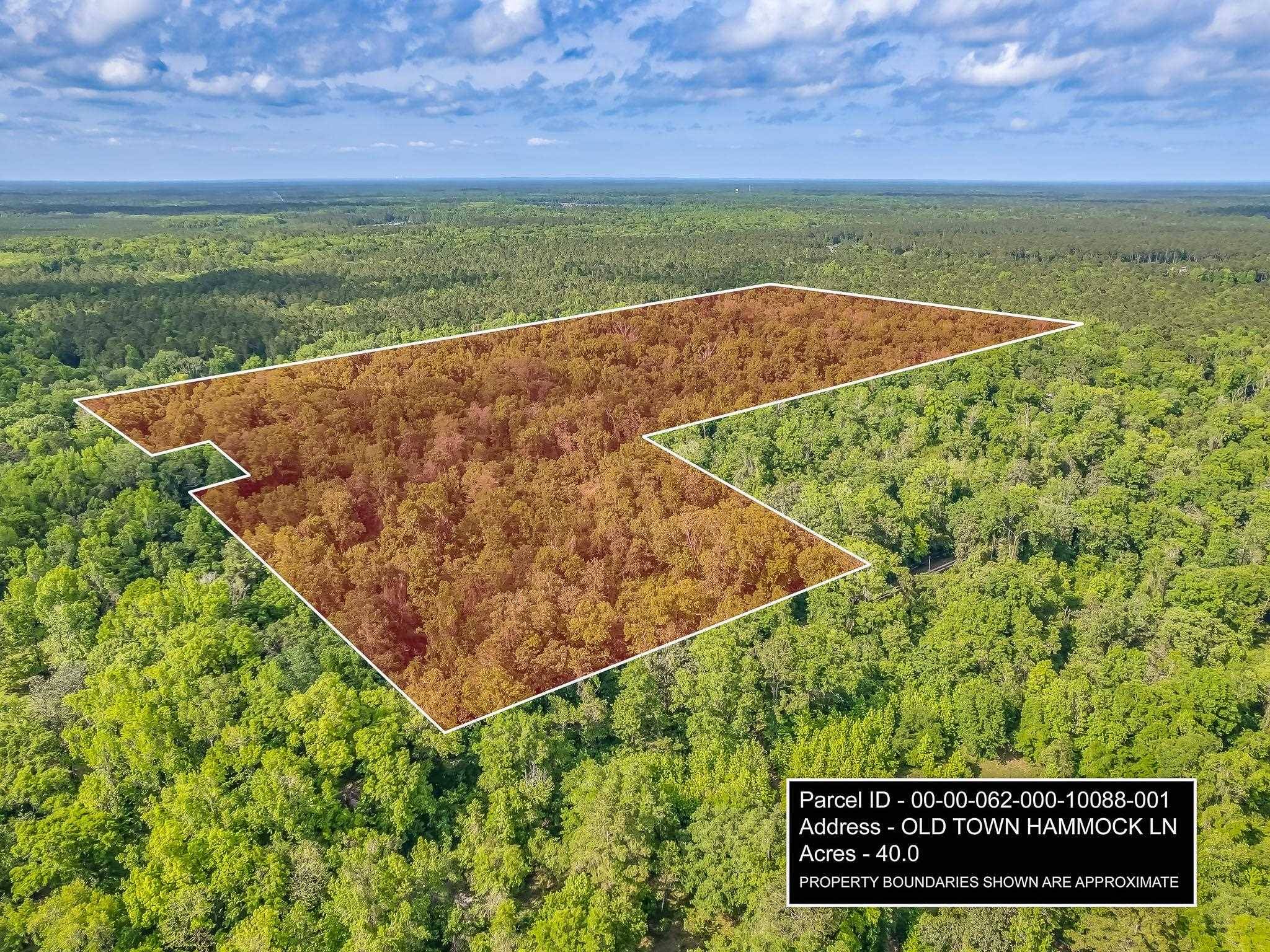 Crawfordville, FL 32327,20 ac OLD TOWN HAMMOCK Lane