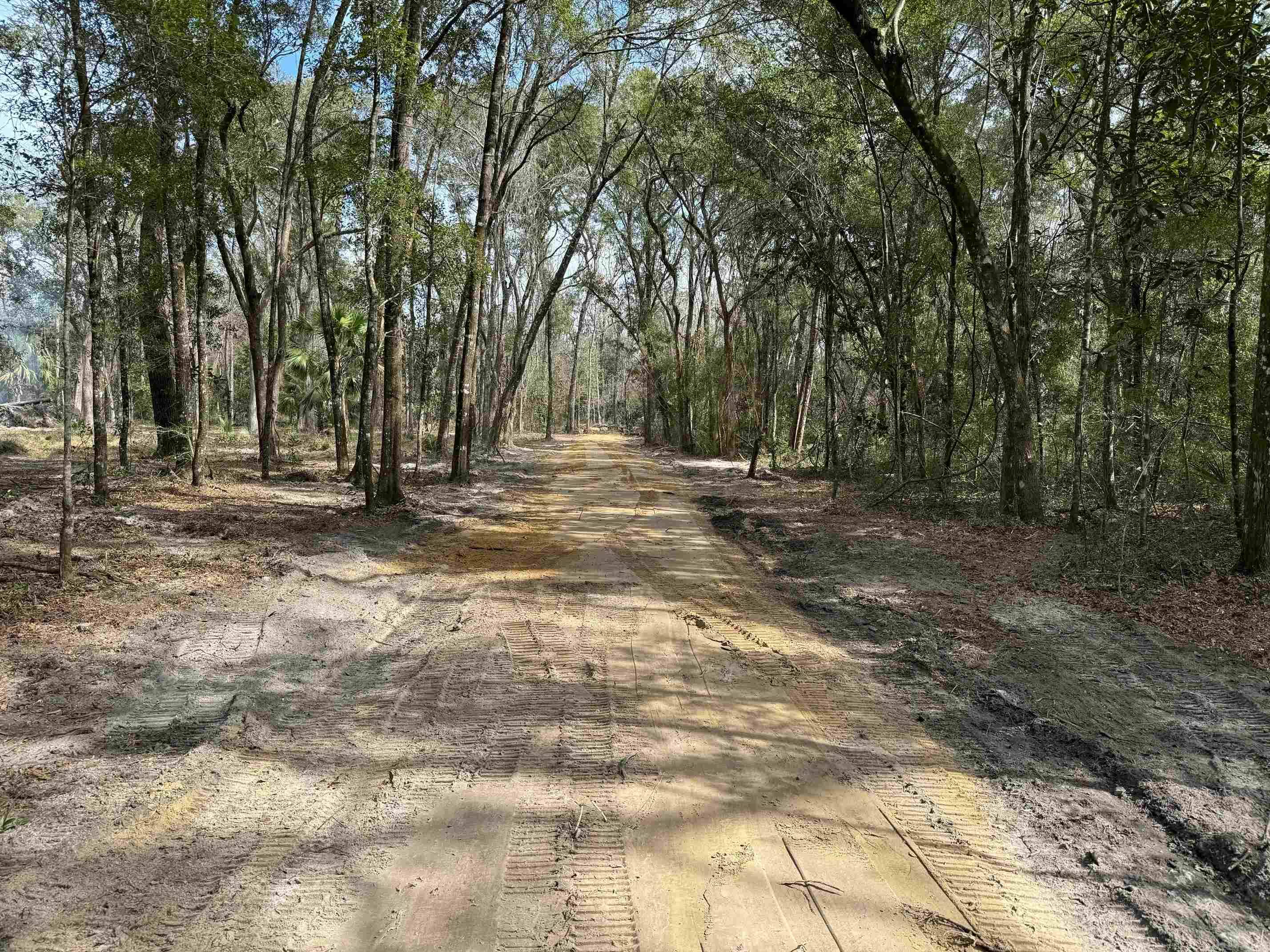 Crawfordville, FL 32327,Lot 7 Caliente Drive