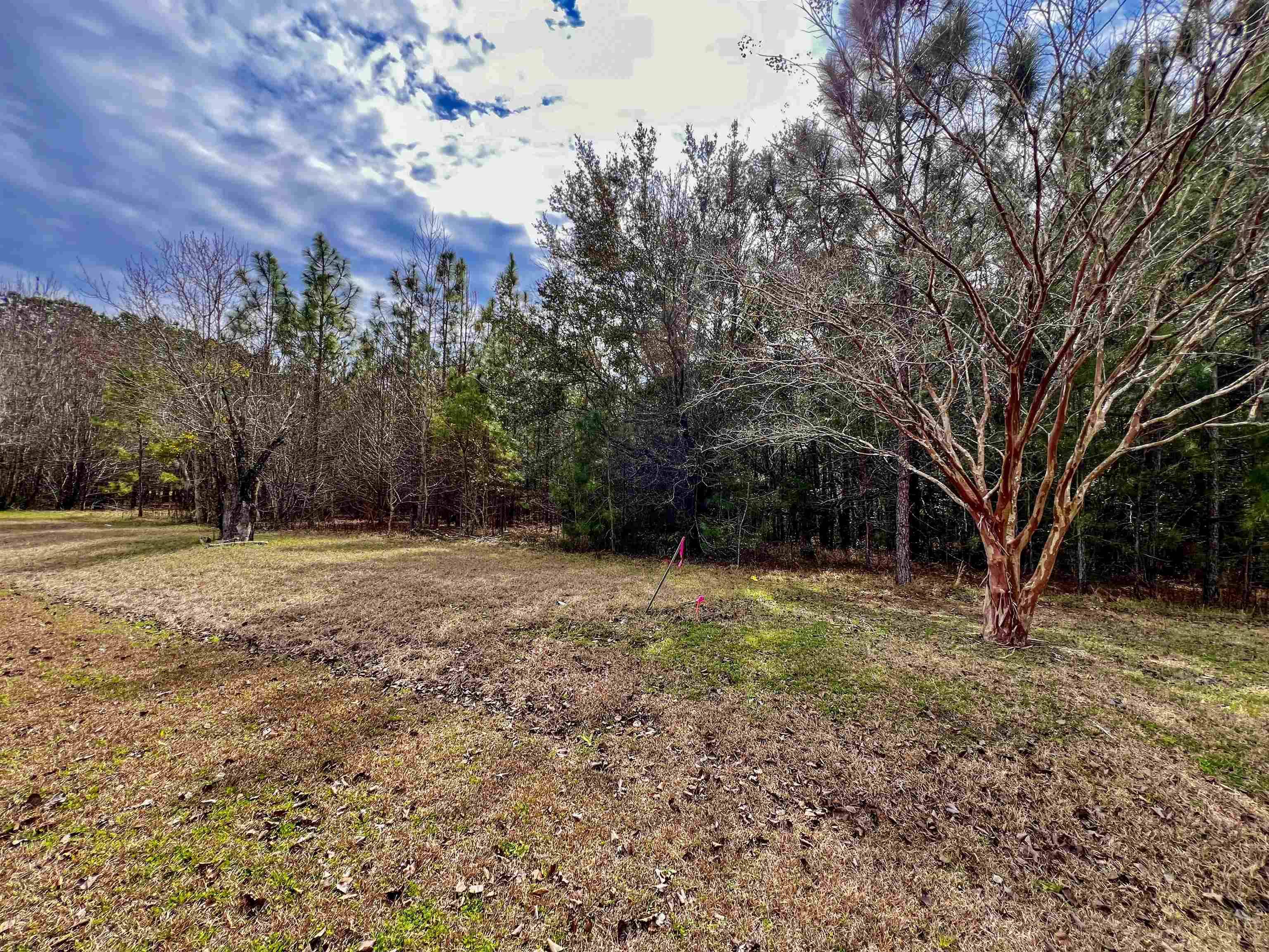 Quincy, FL 32351,XOX Lot 2 Solomon Dairy Road