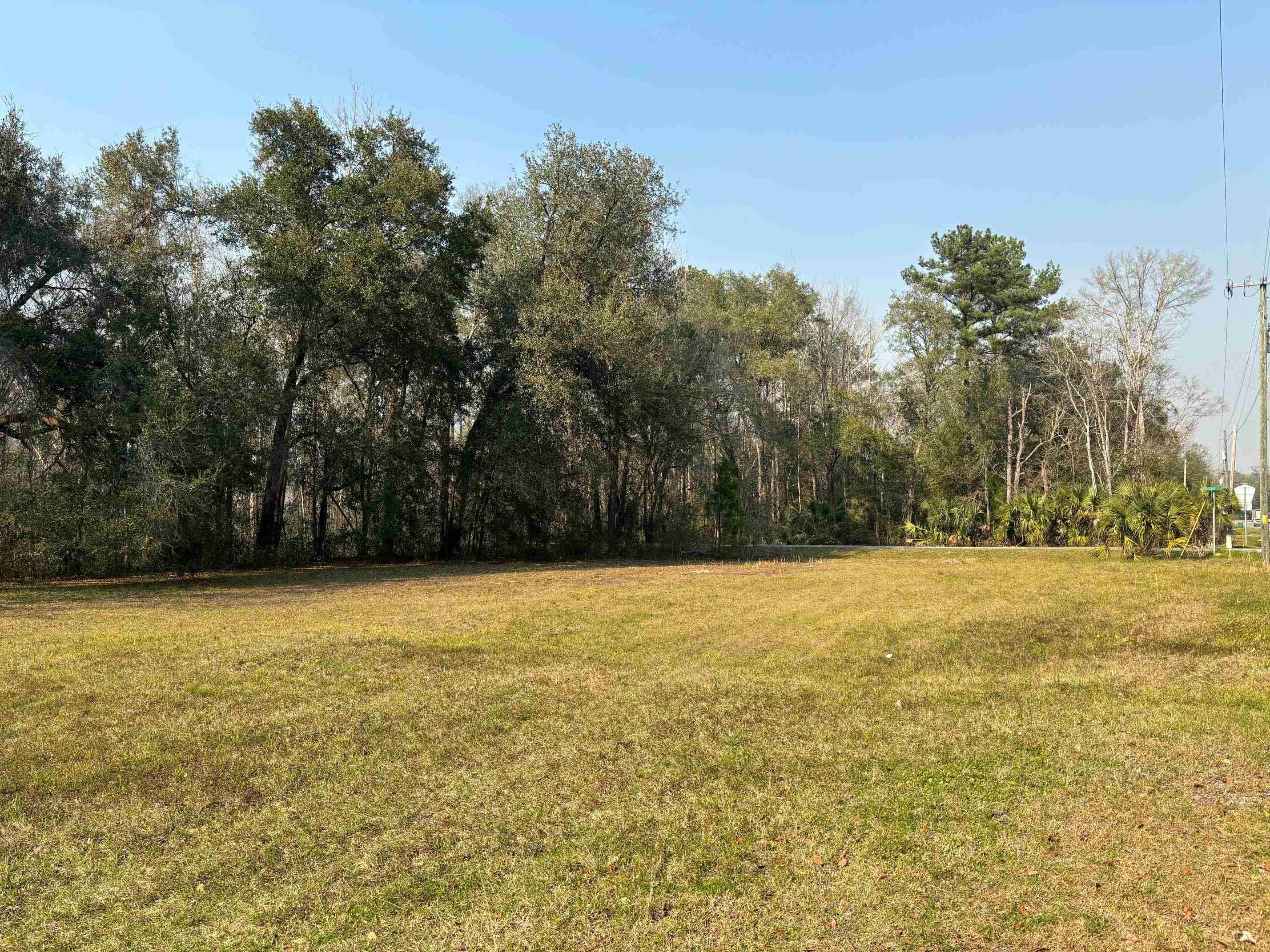 Hosford, FL 32334,17673 NE State Road 65