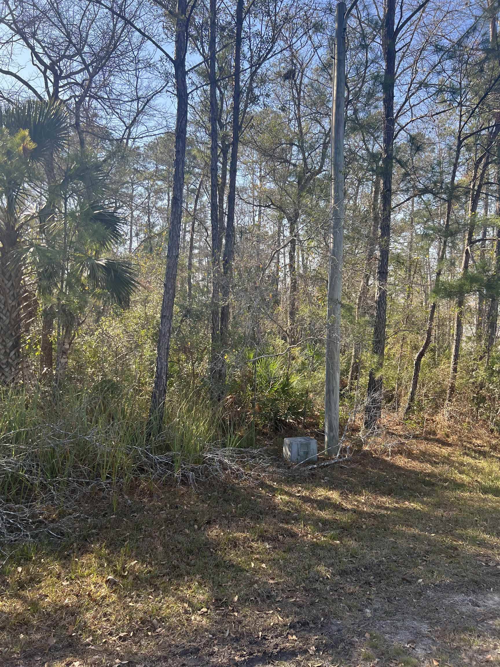 St Marks, FL 32355,XX Burnt Pine Loop