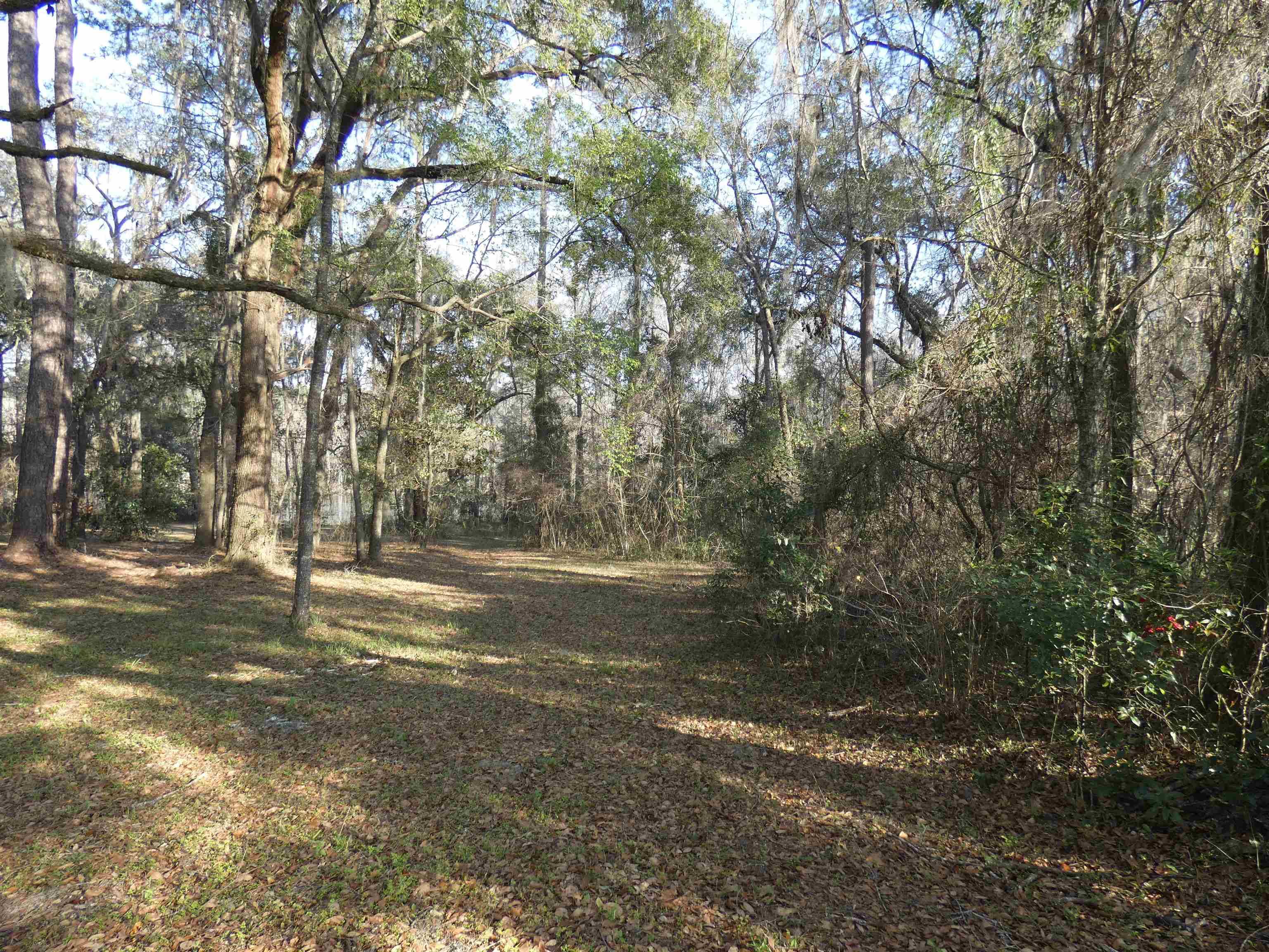 Monticello, FL 32344,TBD Rainey Run