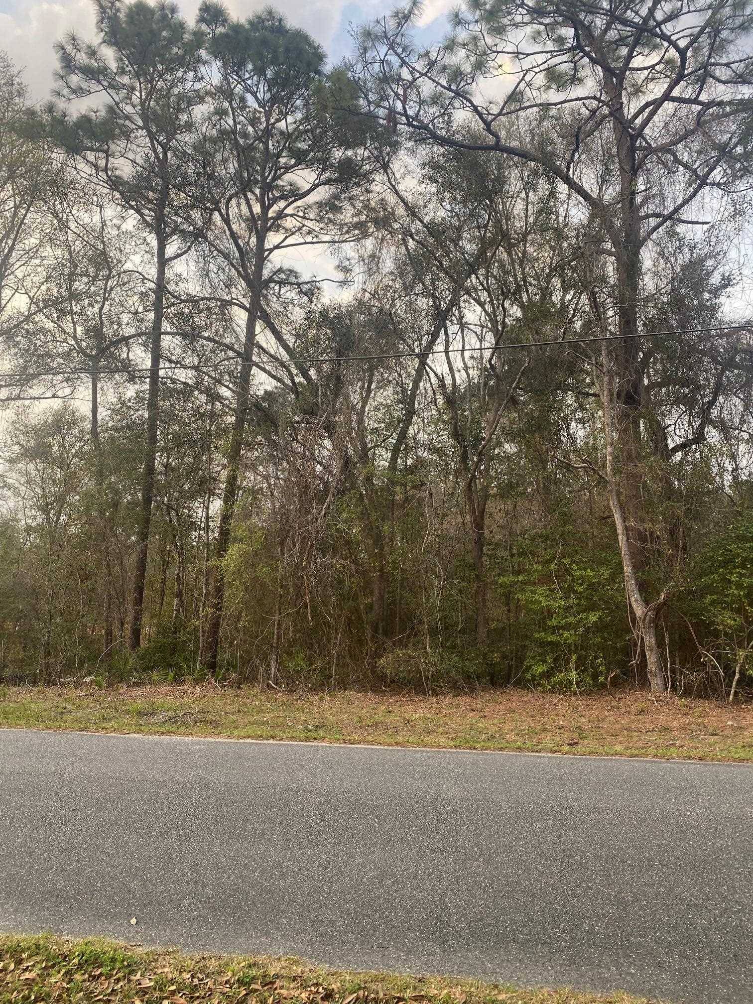 Crawfordville, FL 32327,xxx CRESTWOOD Drive