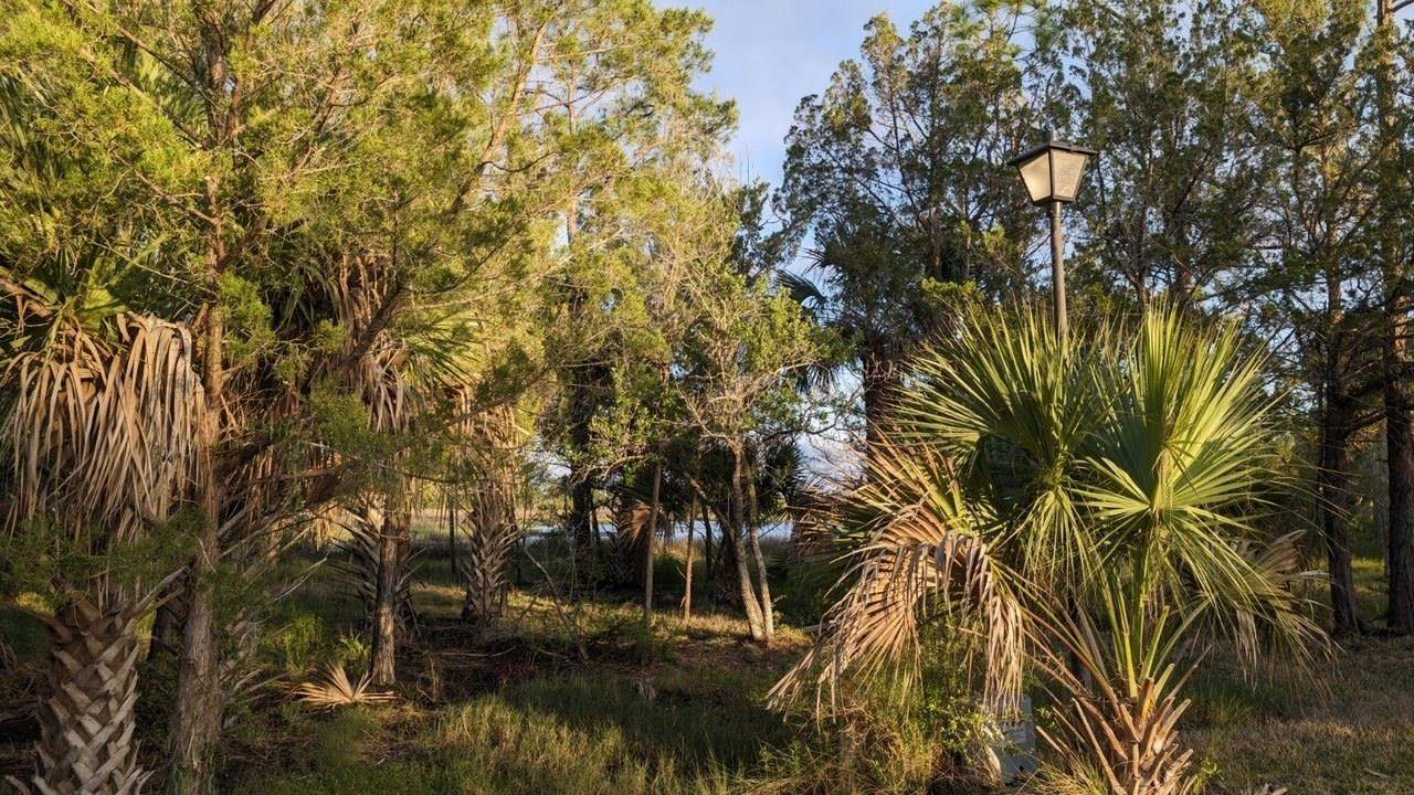 Crawfordville, FL 32327,Lot 12 Carrol Drive