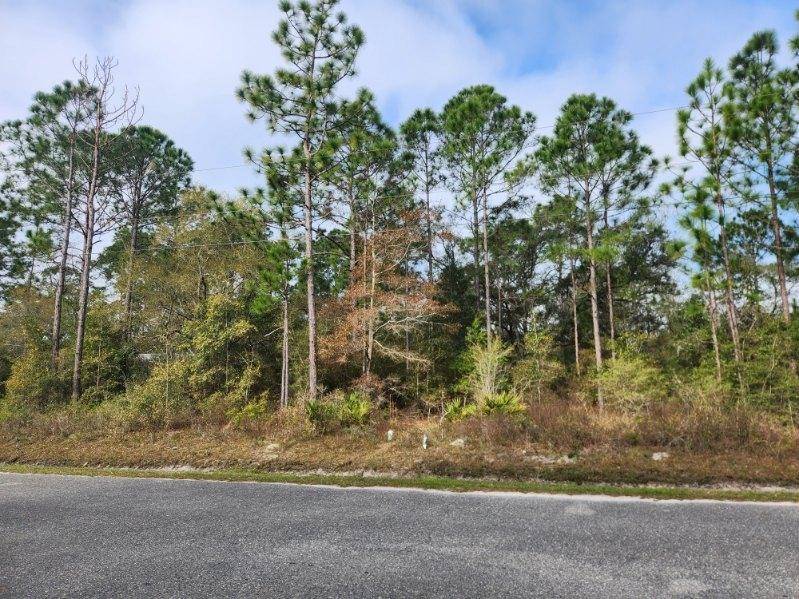 Panacea, FL 32346,00 Francis Avenue