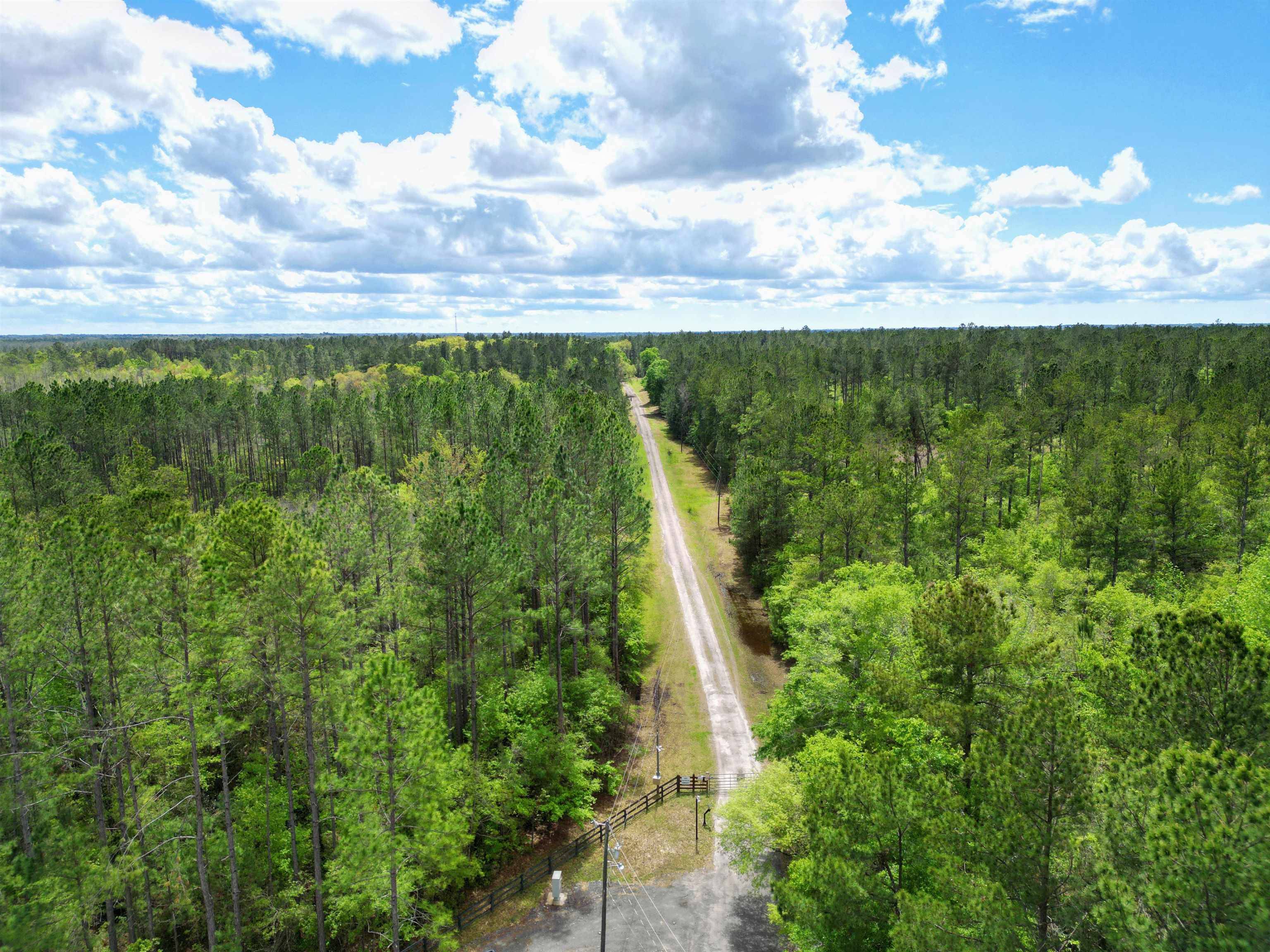 Greenville, FL 32331,TBD SW Paradise Way