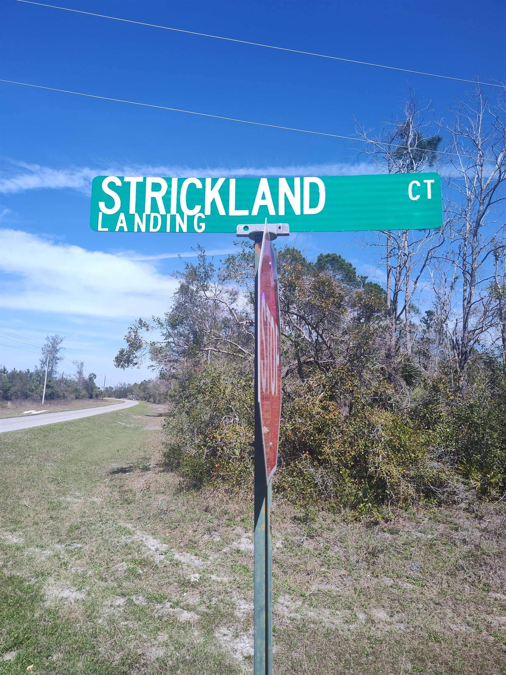 Perry, FL 32348,000 Strickland Landing Ct