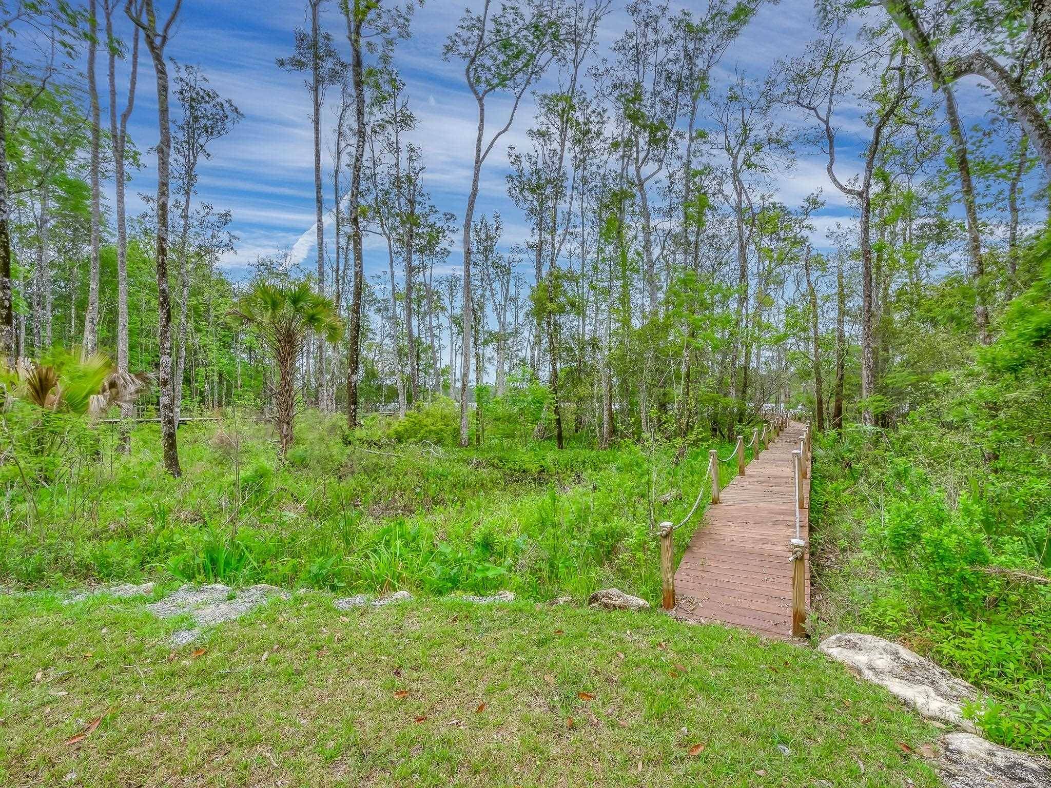 Sopchoppy, FL 32358,Lot 7 Gibson Road