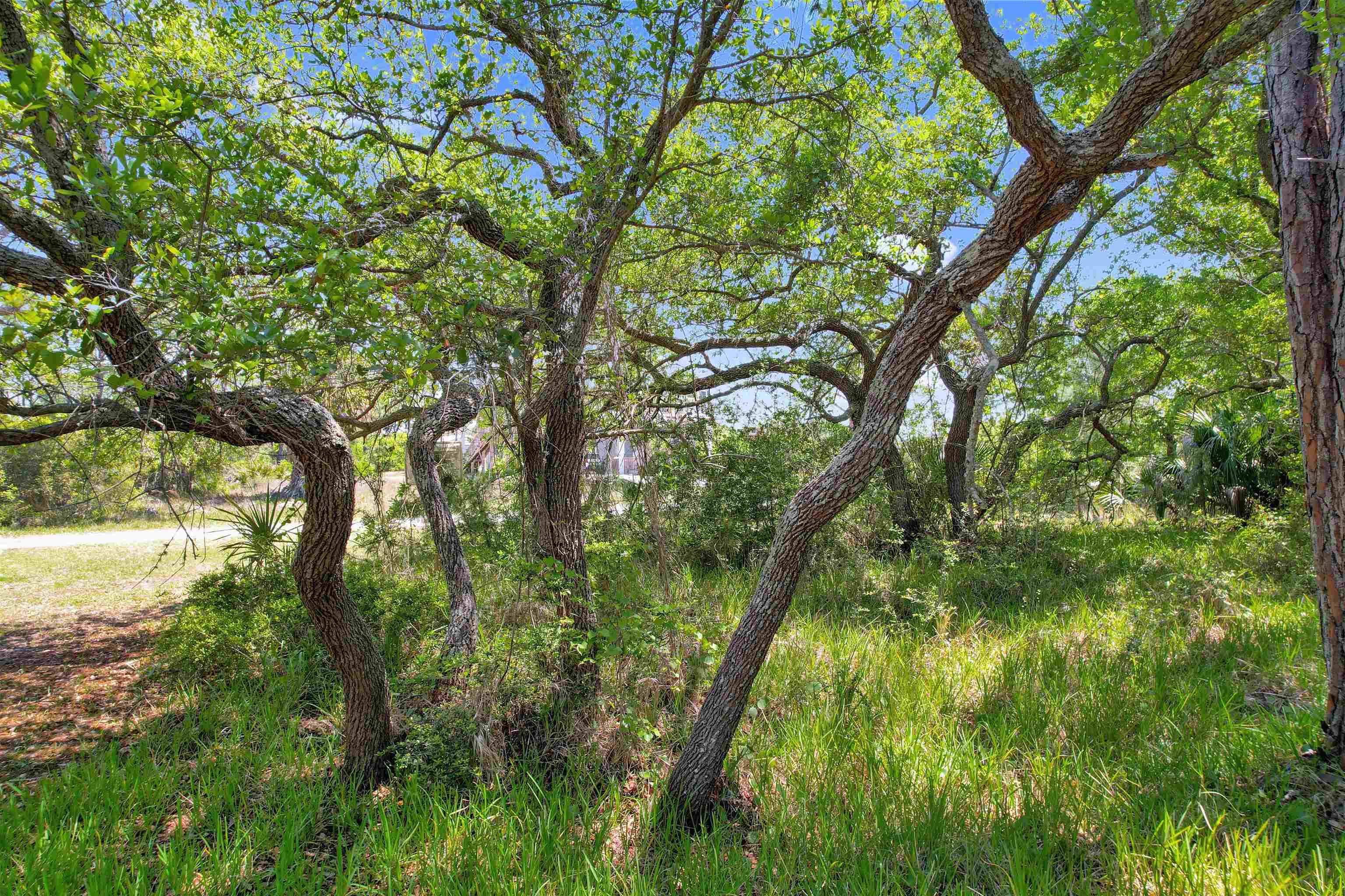 Alligator Point, FL 32346,Lot 4 Pelican Bay Street