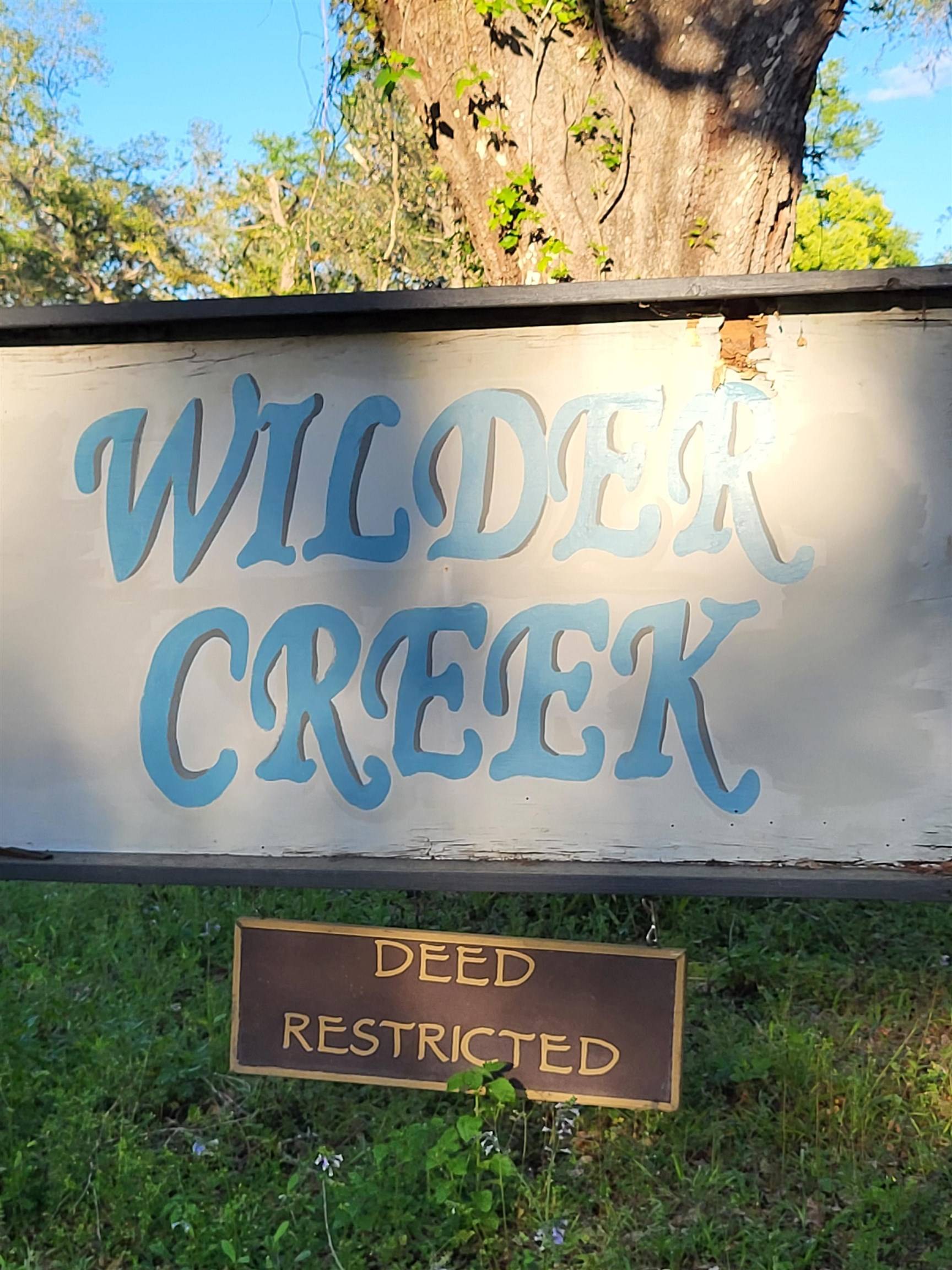 Perry, FL 32347,Lot 21 Wilder Creek Drive