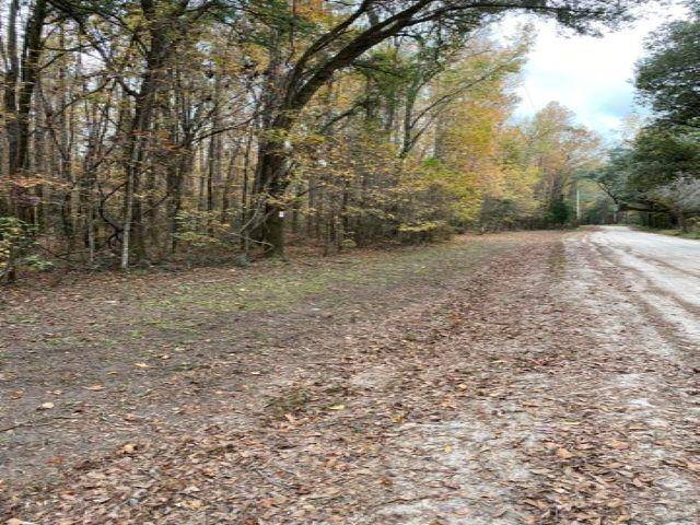 Sopchoppy, FL 32358,Deer Run Court