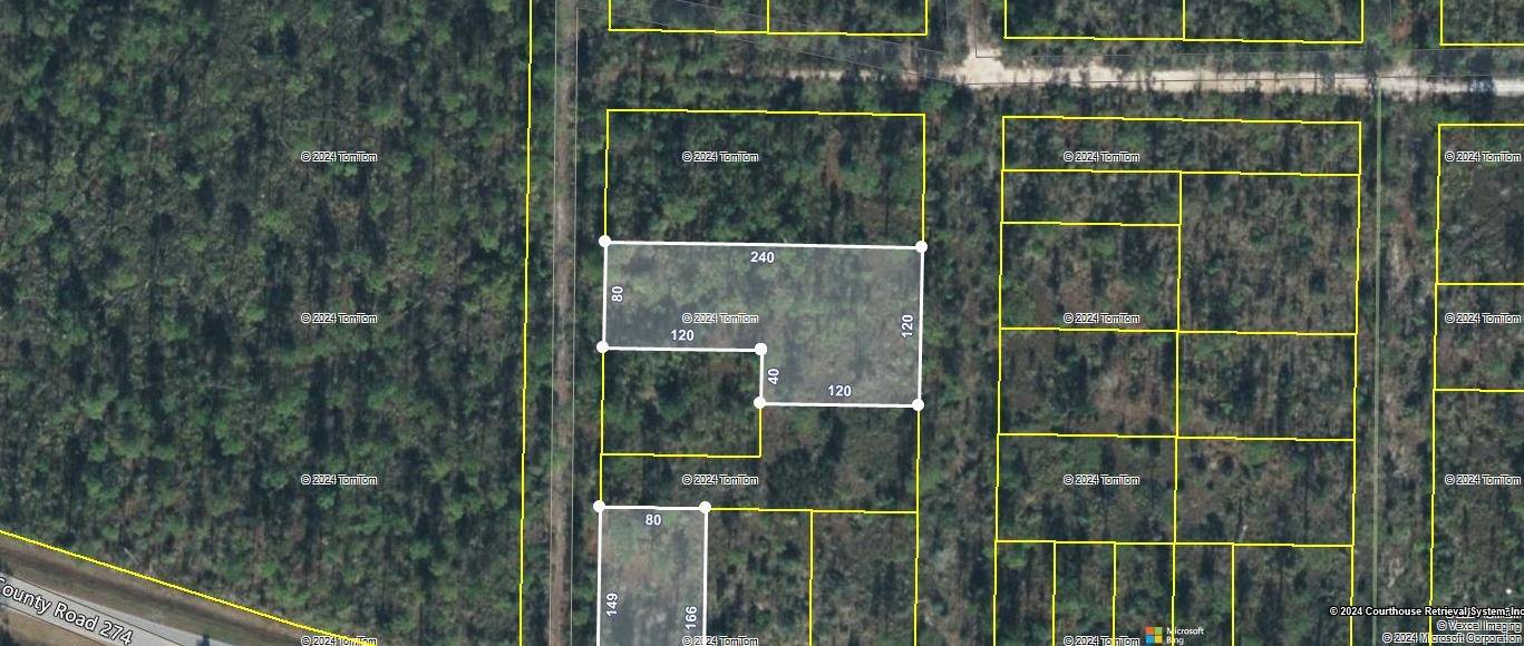 Altha, FL 32438,TBD NW Cr 274 / Compass Lake Avenue