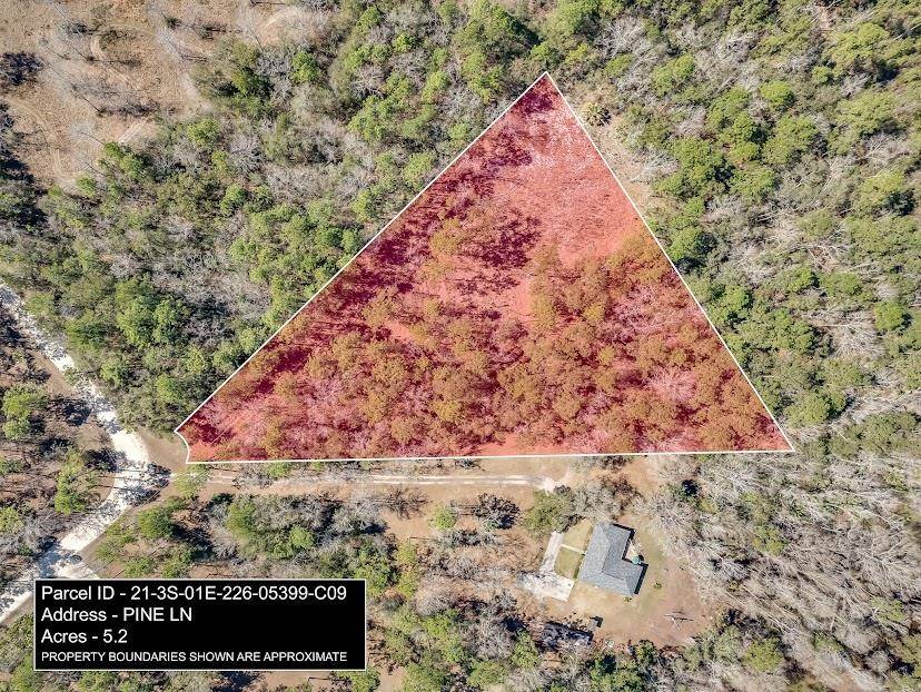 Crawfordville, FL 32327,XX Pine (Lot 9) Lane