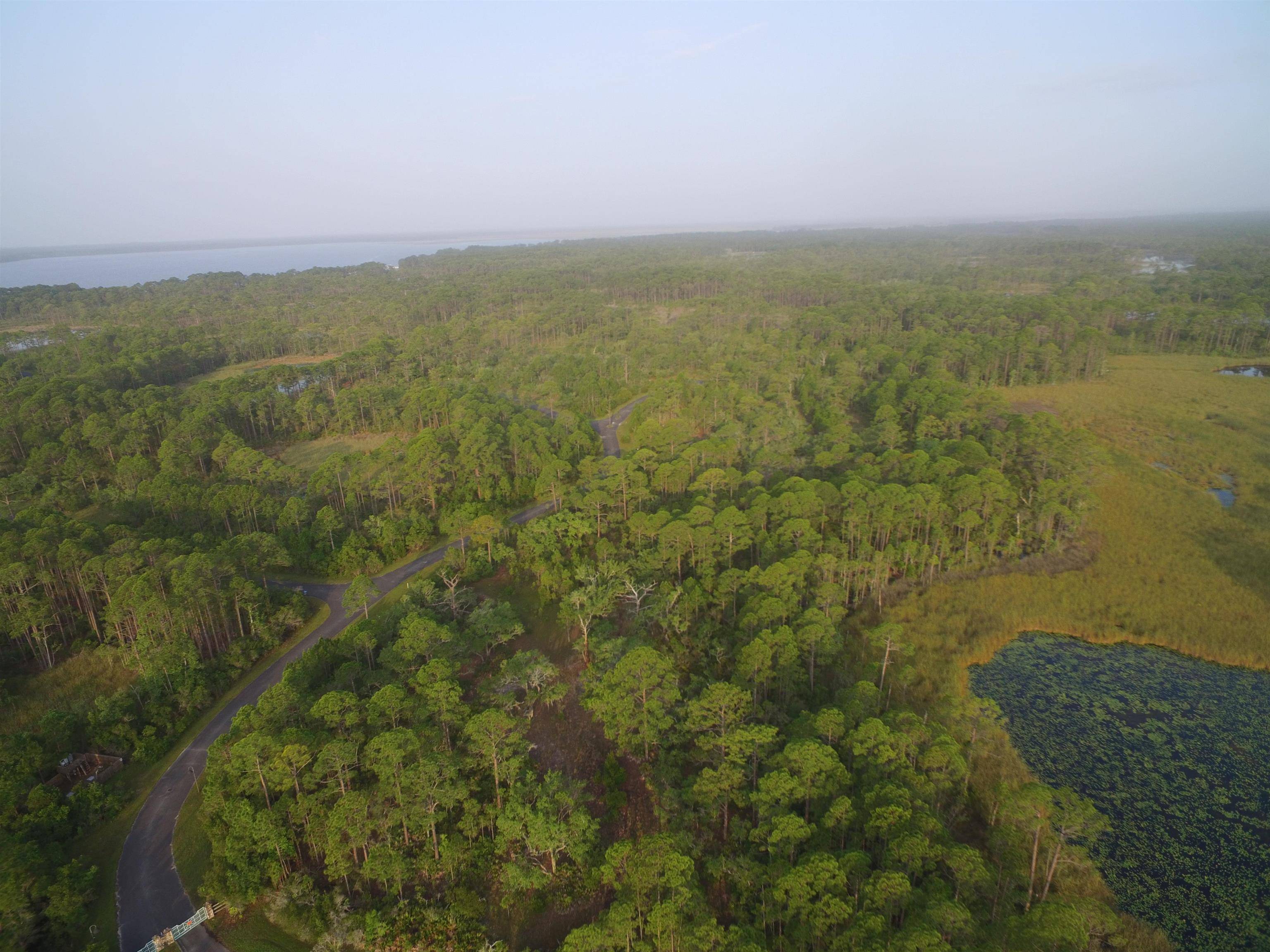 Panacea, FL 32346,Lot 20 Surf Road