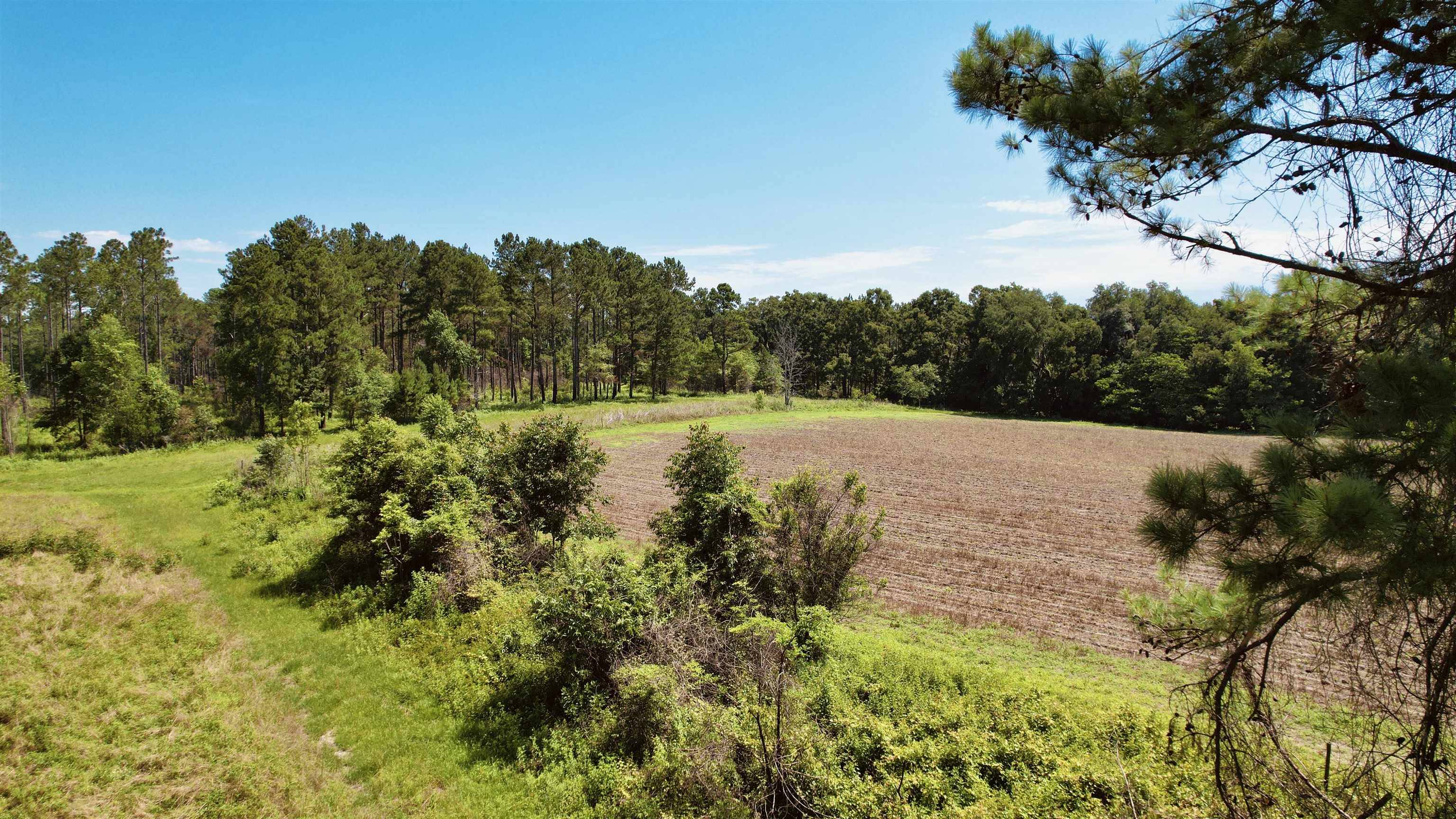 Monticello, FL 32344,Bassett Dairy Road