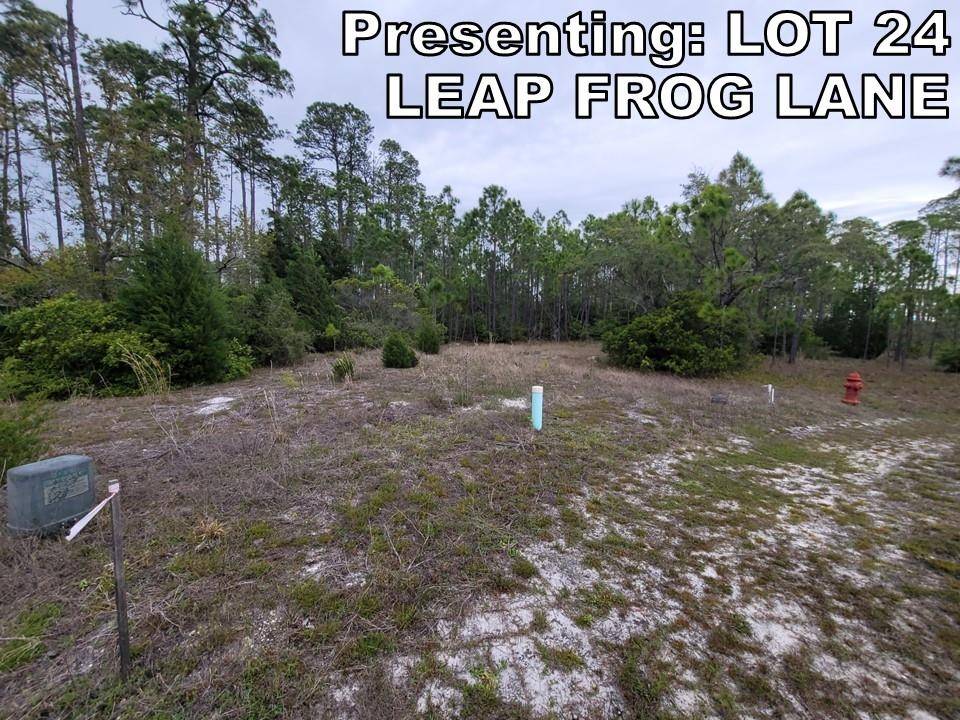 Panacea, FL 32346,LOT 24 Leap Frog Lane #-