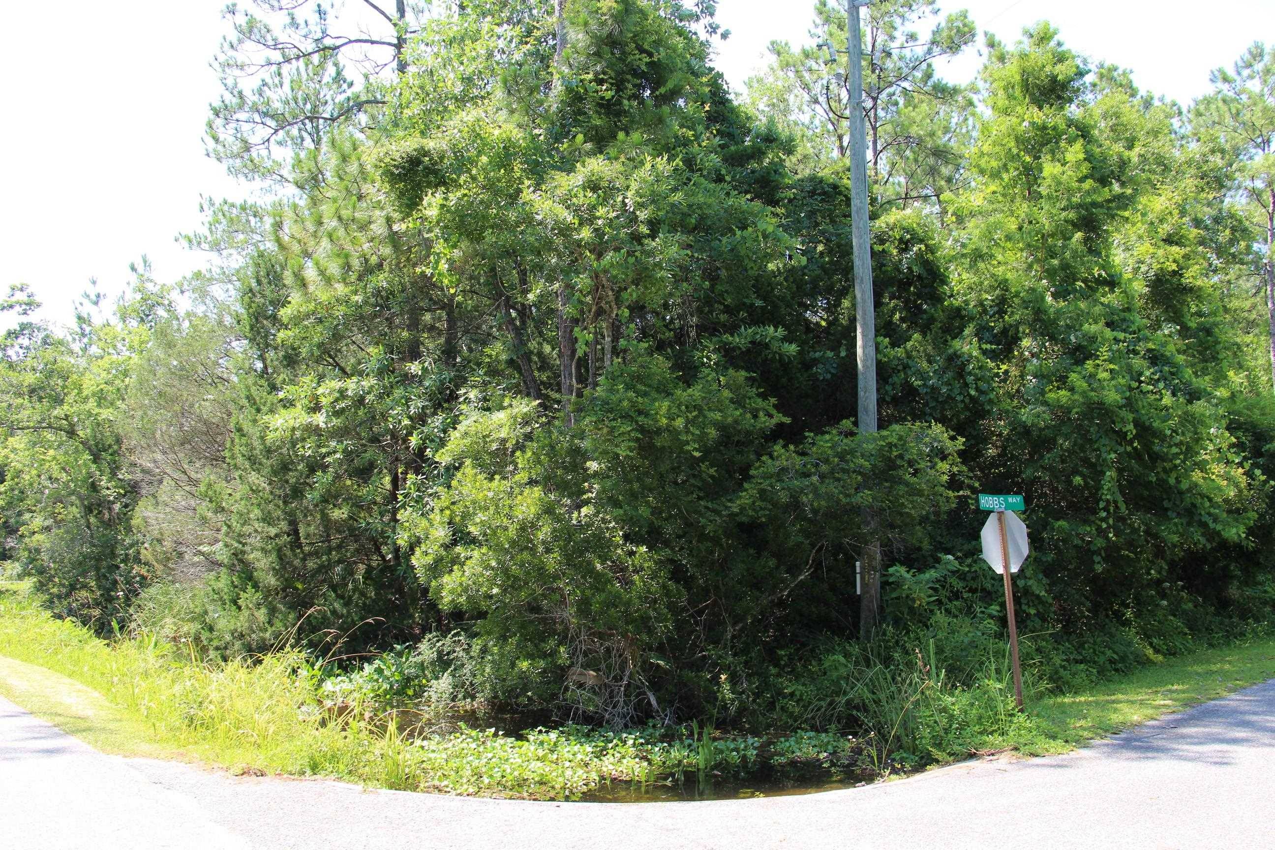 St Marks, FL 32355,Lot 1 Block A Hobbs Way