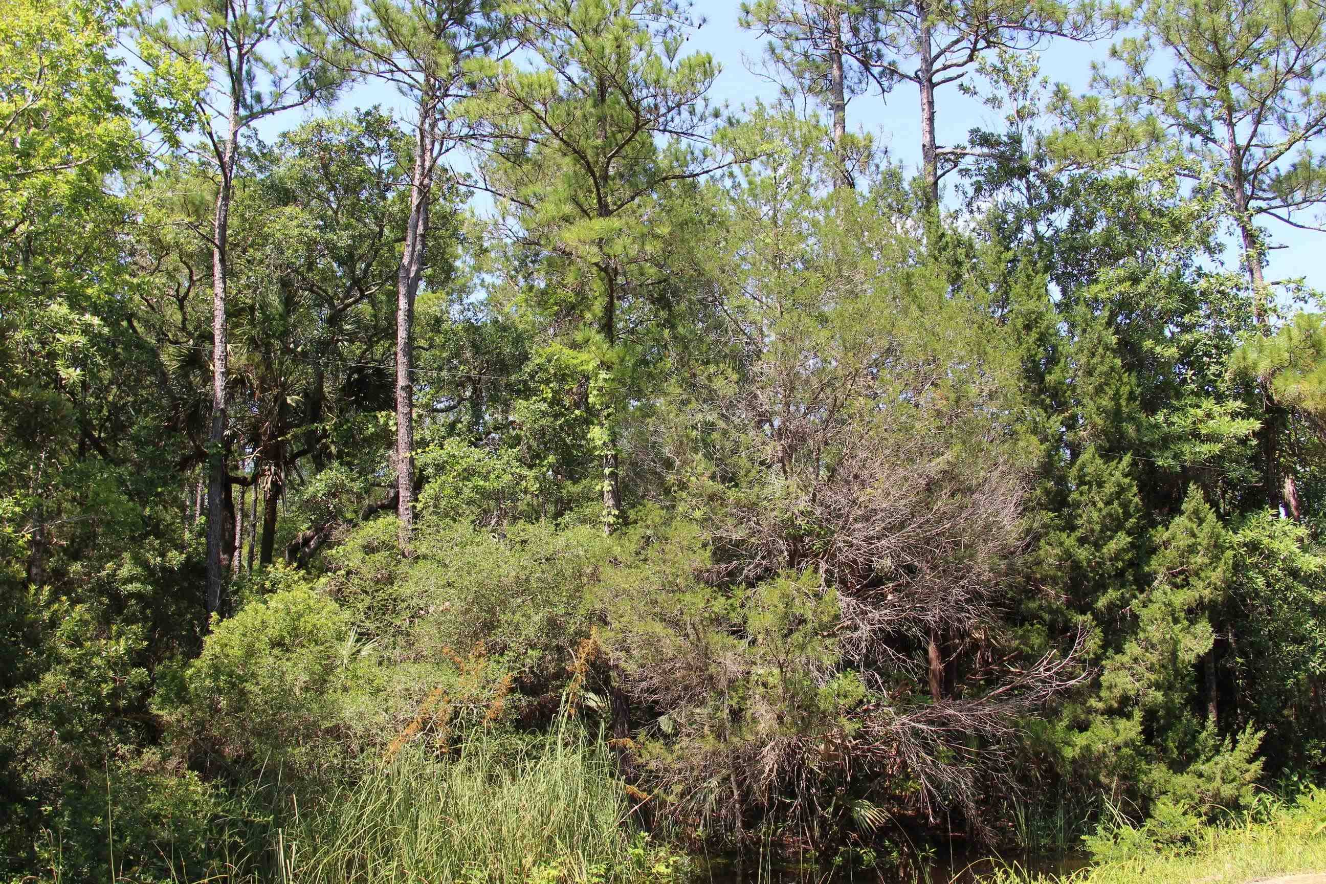 St Marks, FL 32355,Lot 9 Block A Hobbs Way