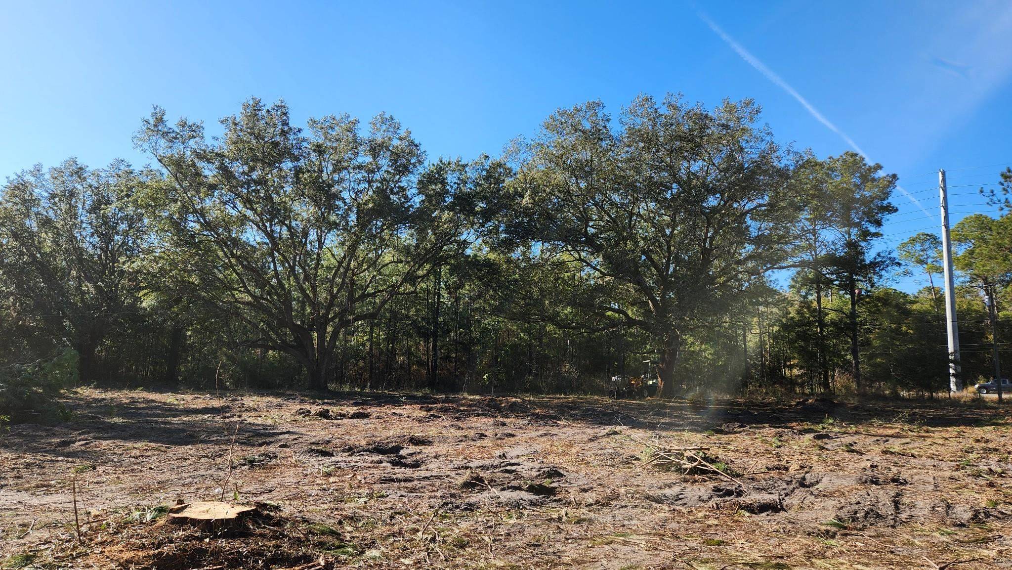 Tallahassee, FL 32310,16653 Blountstown Highway