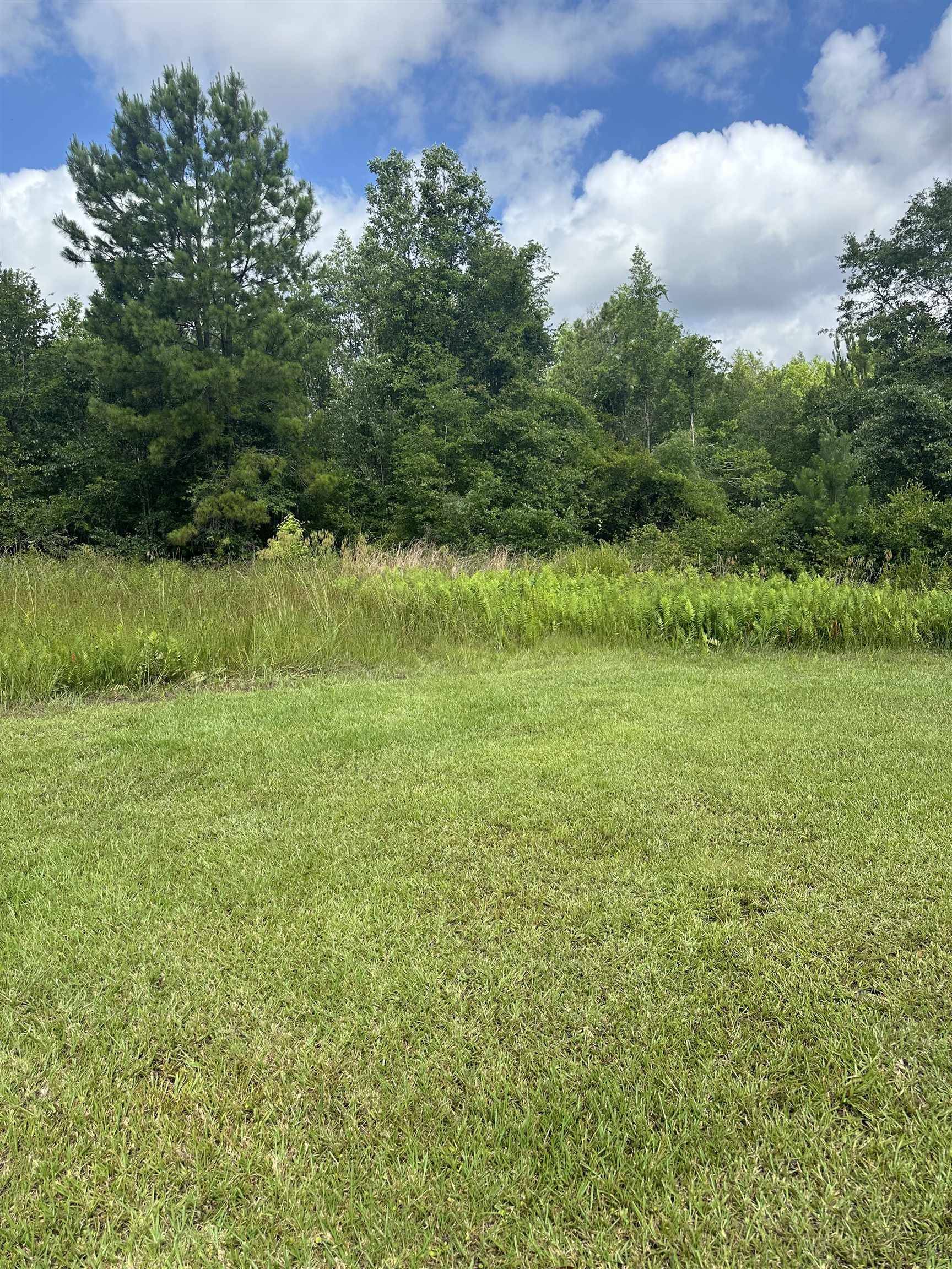 Monticello, FL 32344,000 Kinsey Rd