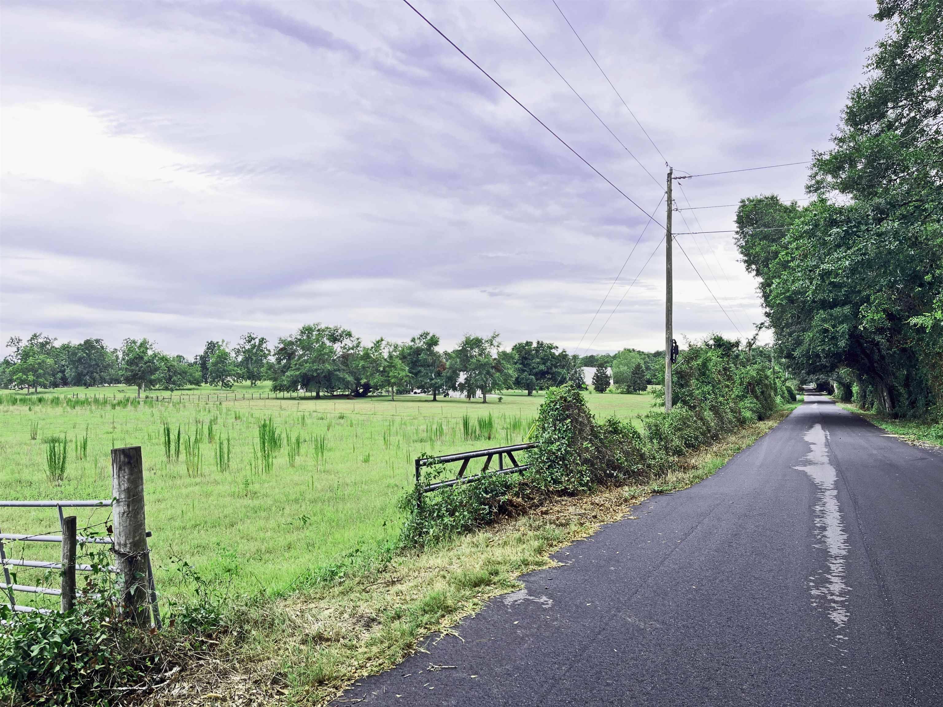 Monticello, FL 32344,TBD St Augustine Rd Parcel #1