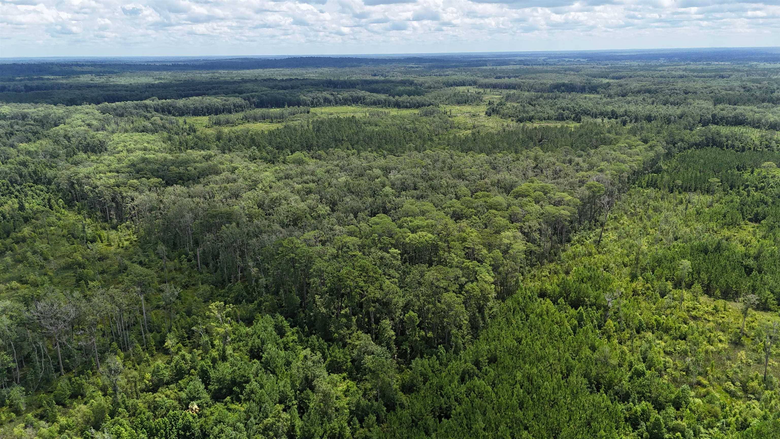 Lamont, FL 32336,Vacant Oneal Tram Road