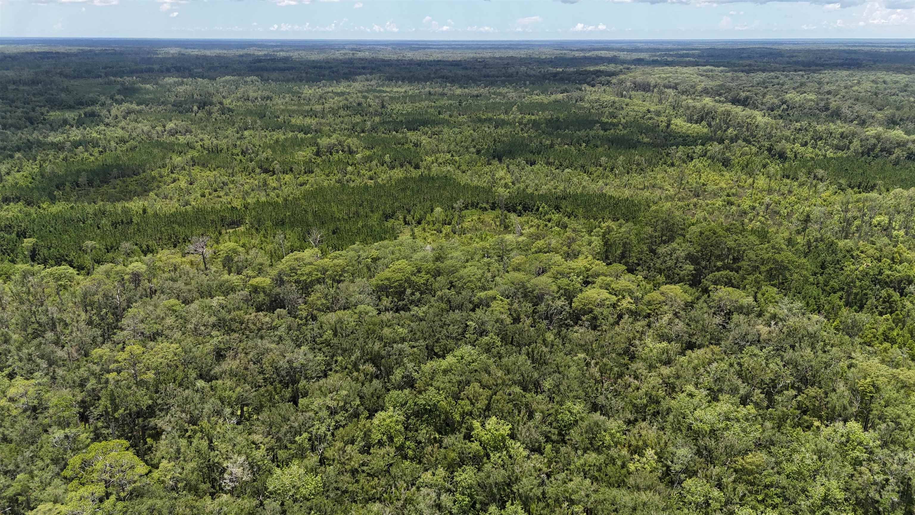 Lamont, FL 32336,Vacant Oneal Tram Road