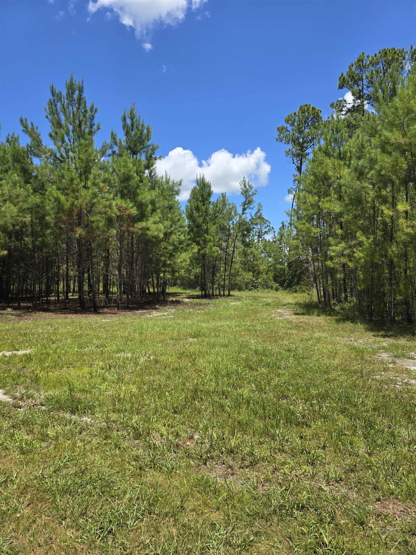 Greenville, FL 32331,7440 Alton Wendtworth Rd