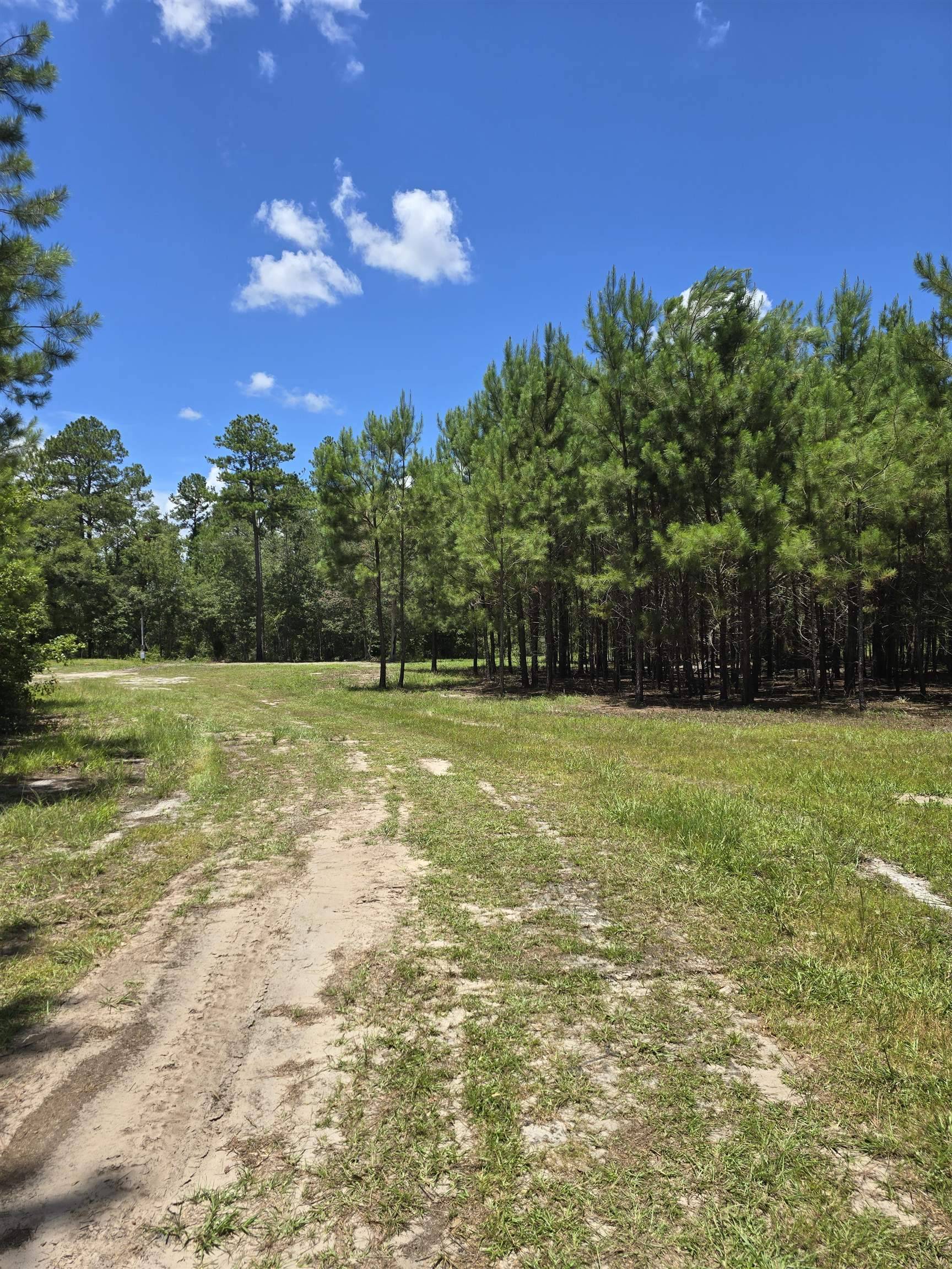 Greenville, FL 32331,7440 Alton Wendtworth Rd