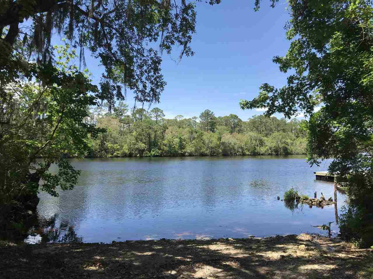 Sopchoppy, FL 32358,xx Big Fish Drive