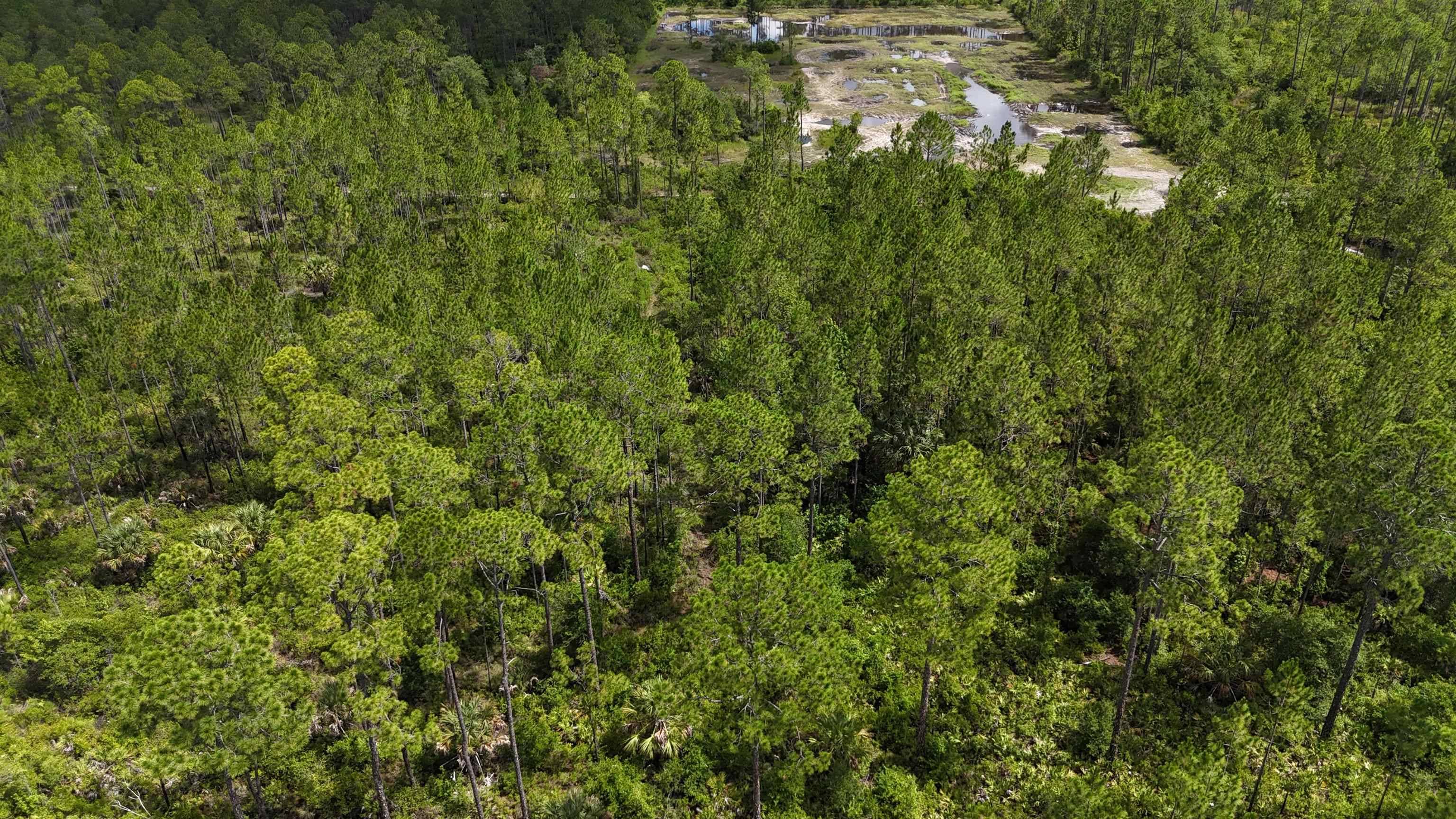 Other Florida, FL 32177,Vacant Nutcracker Street