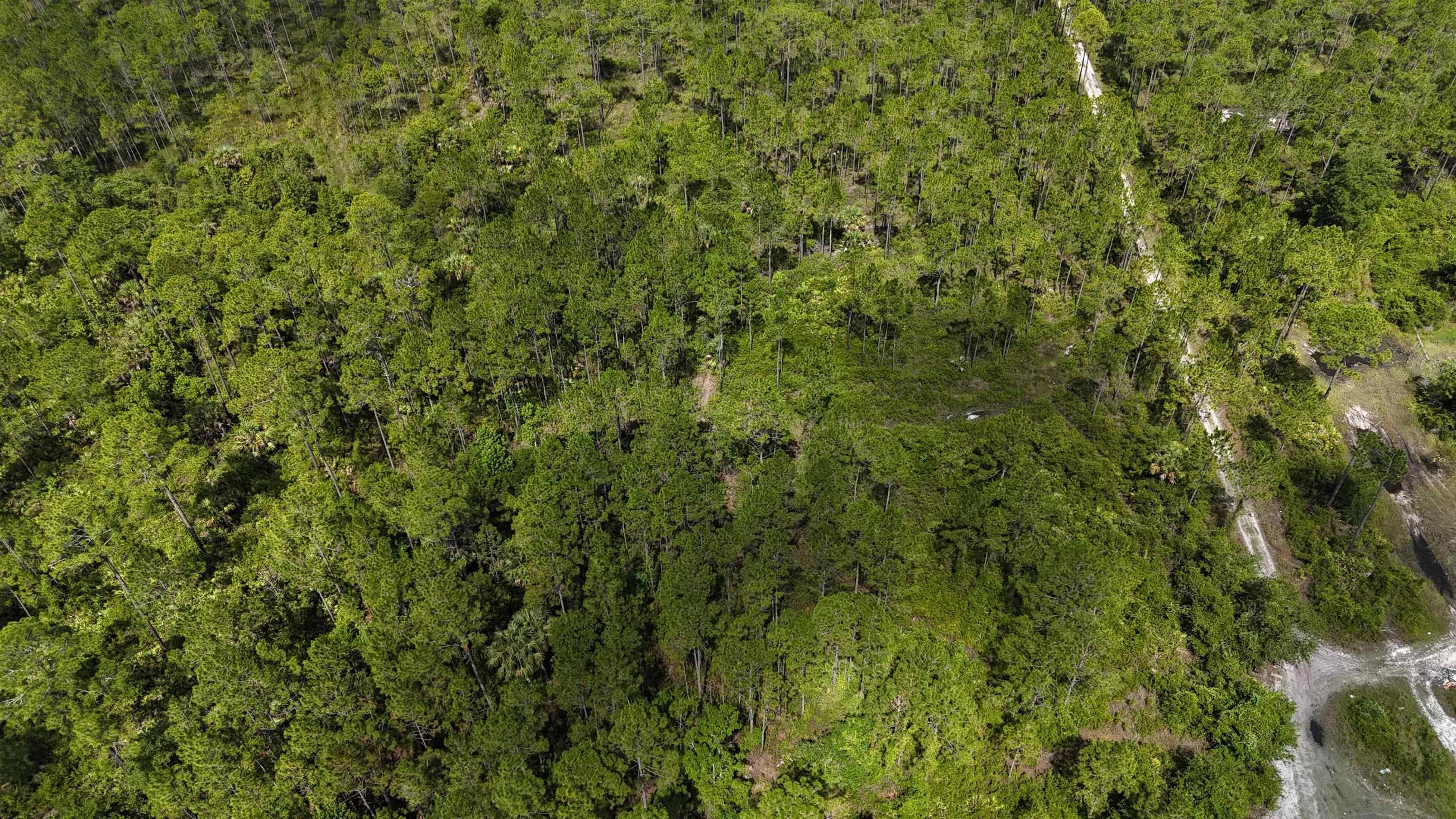 Other Florida, FL 32177,Vacant Nutcracker Street