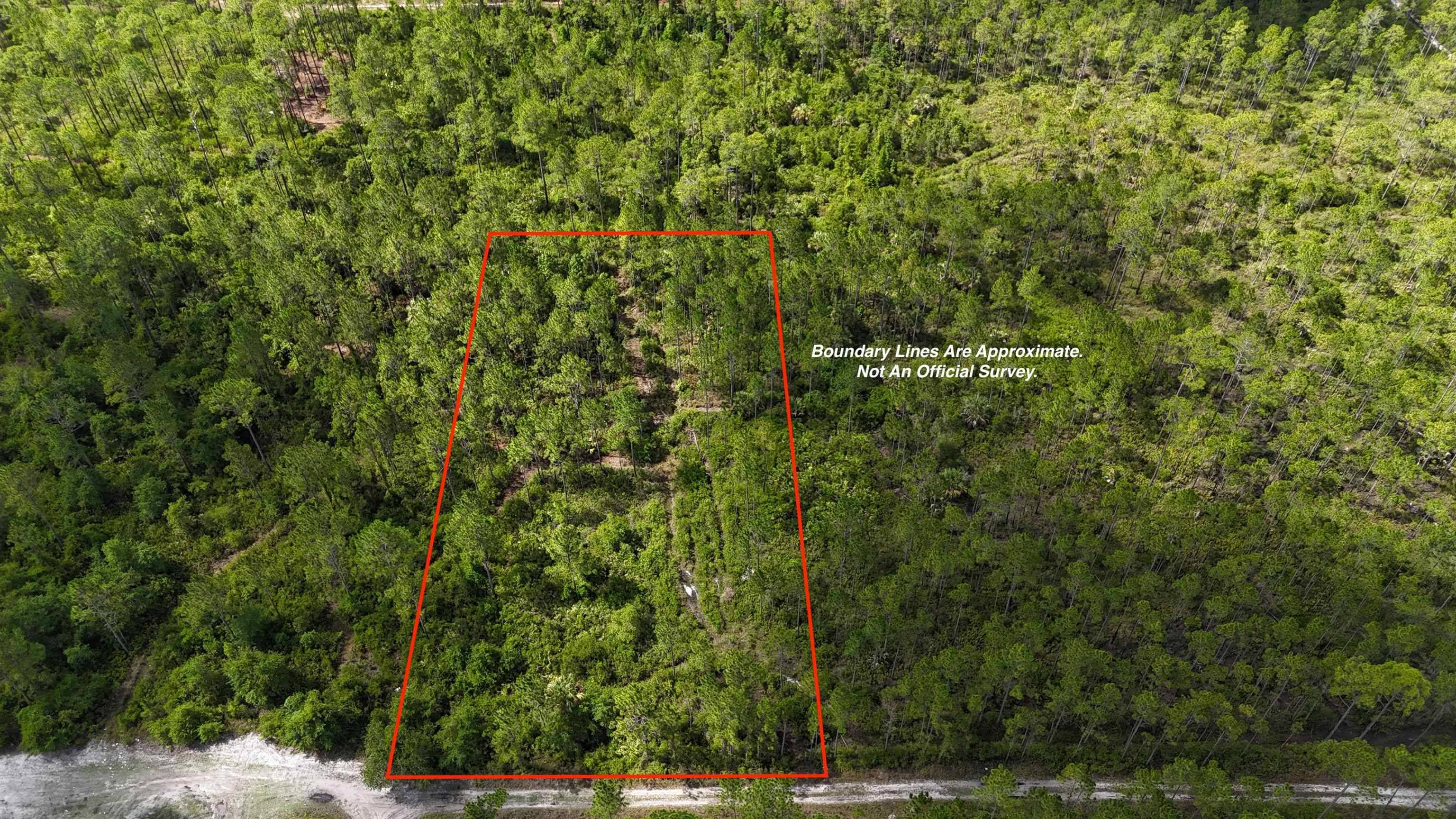 Other Florida, FL 32177,Vacant Nutcracker Street