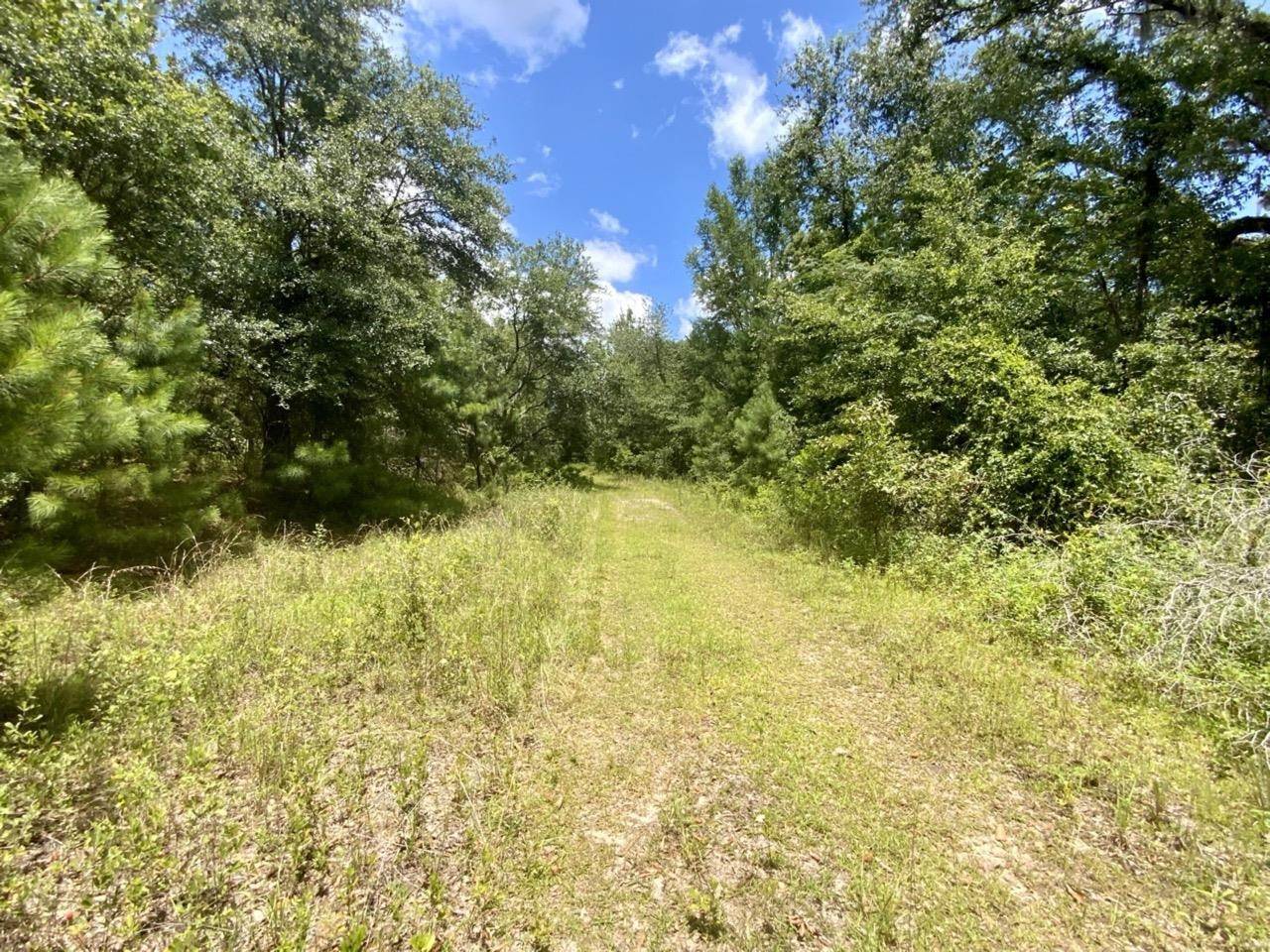 Madison County, FL 32340,Vacant NE Dandelion Street