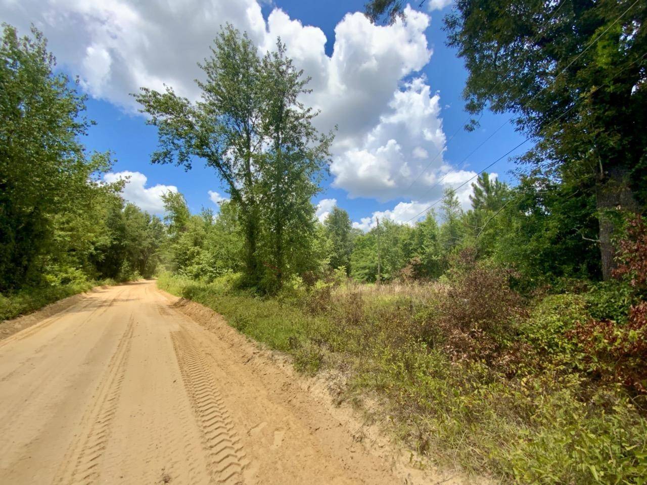 Madison County, FL 32340,Vacant NE Dandelion Street