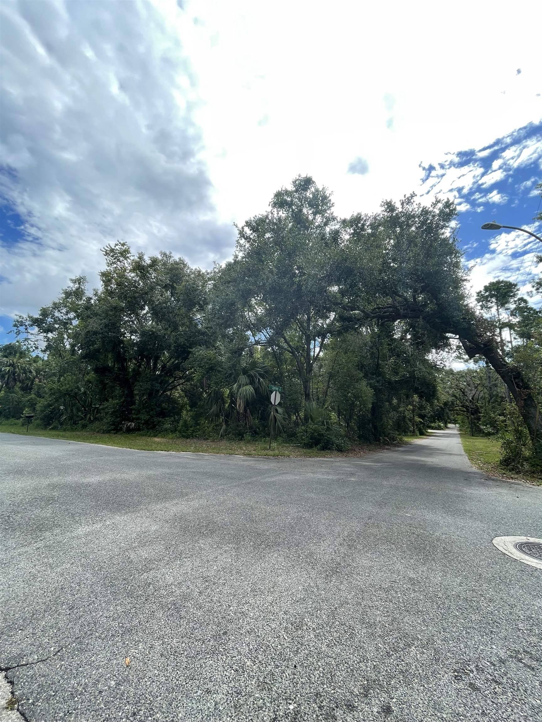 Perry, FL 32347,0 S Hendry Avenue