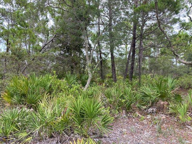 Alligator Point, FL 32346,88 Fernway Road