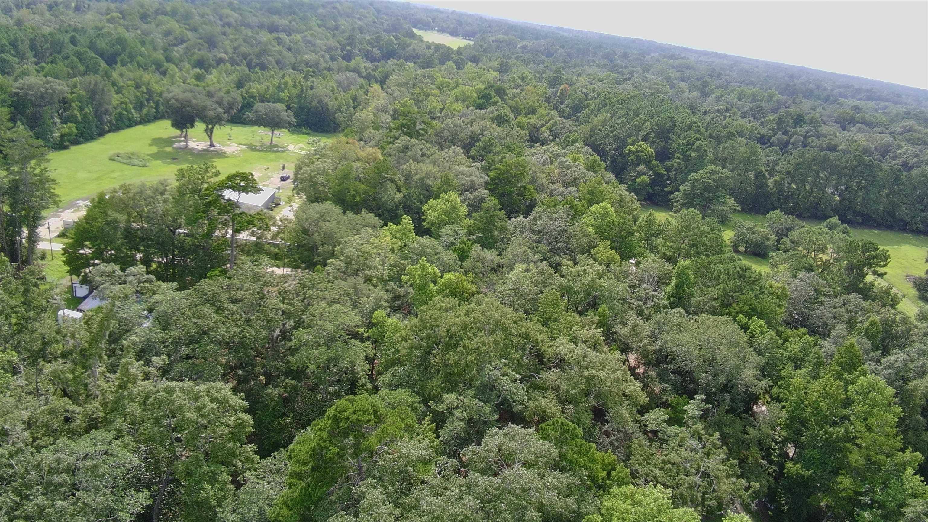 Monticello, FL 32344,1024 Vista Road