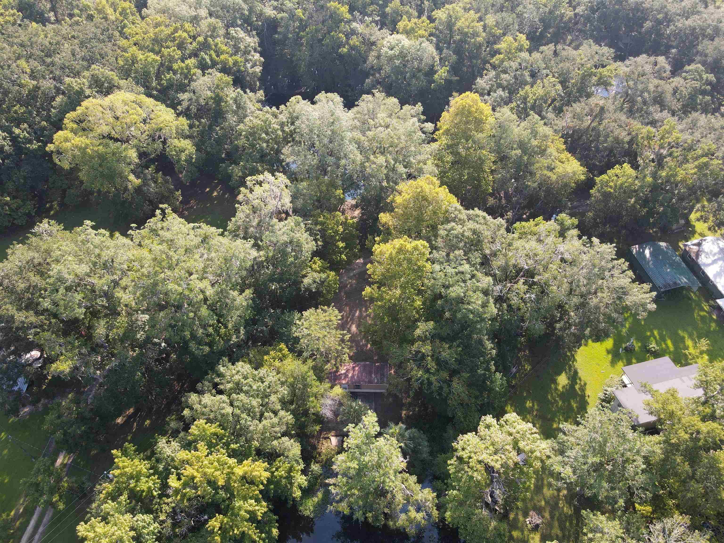 Lamont, FL 32336,23210 Nutall Rise Road