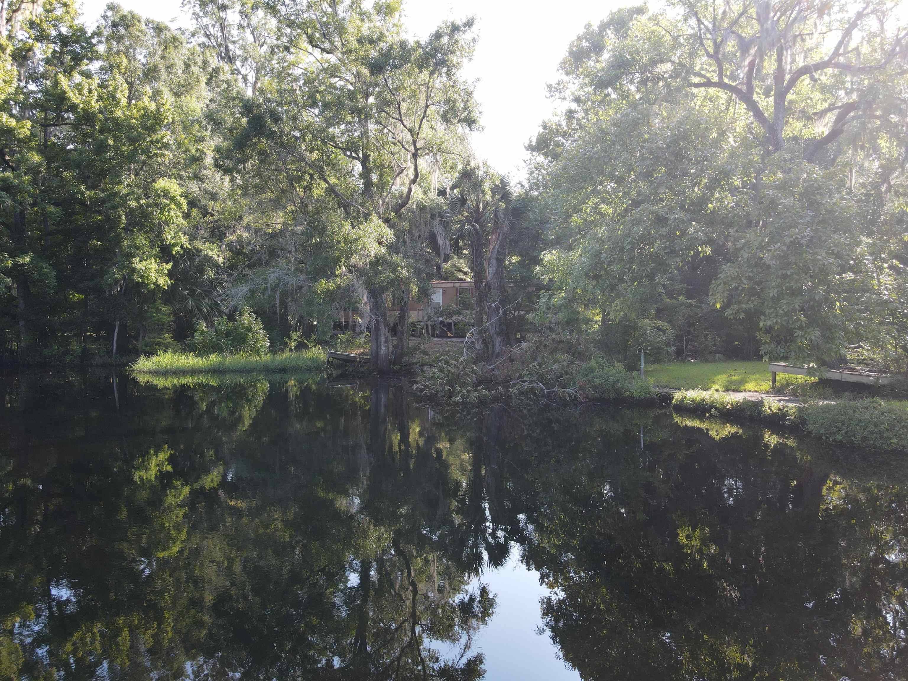 Lamont, FL 32336,23210 Nutall Rise Road