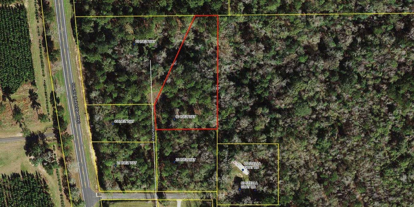 Quincy, FL 32351,60 Inez Way