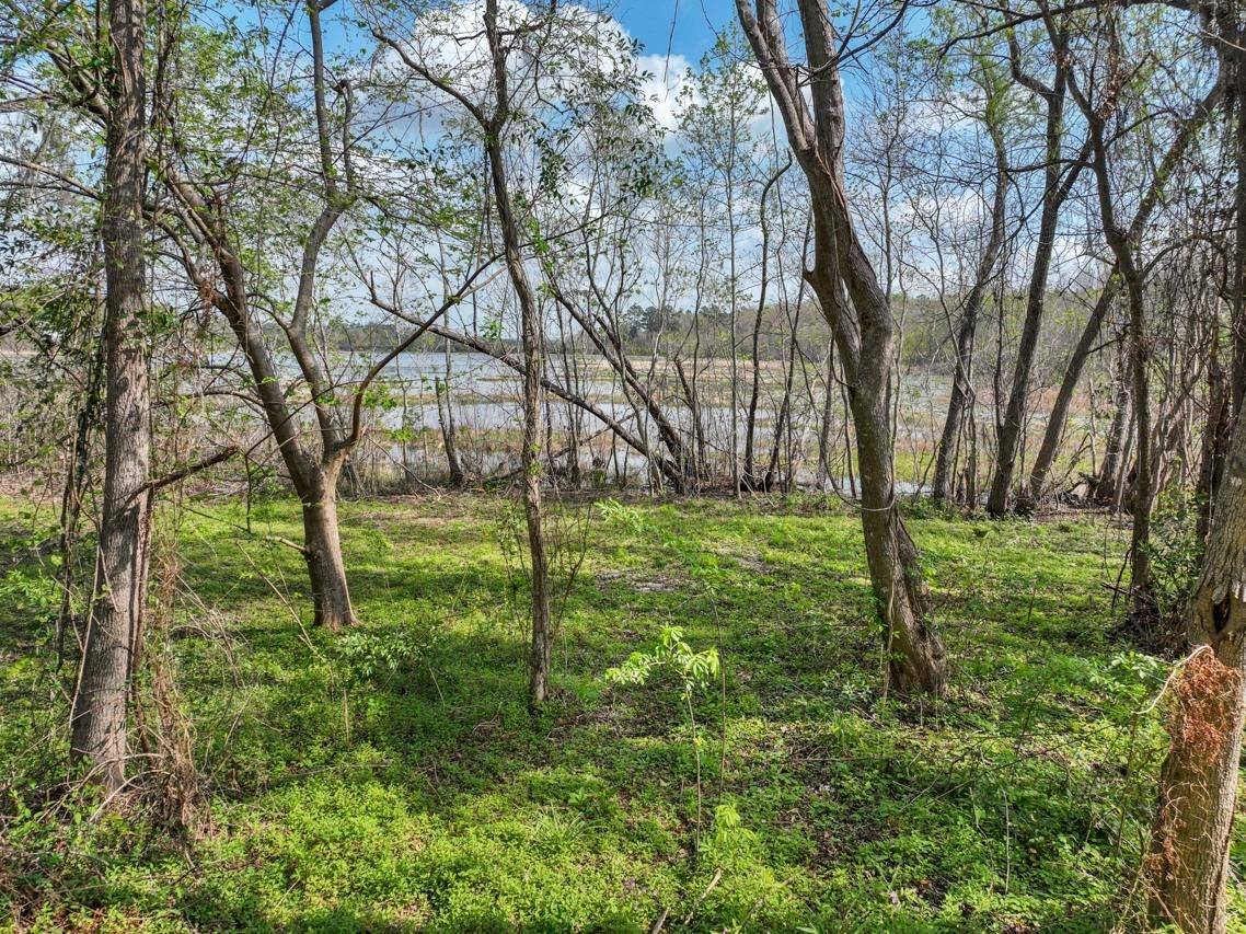 Tallahassee, FL 32303,Lot 7 Grandview Court