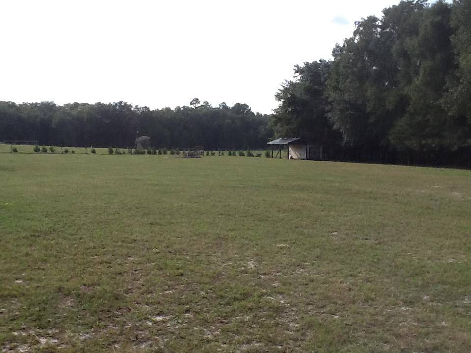 Madison County, FL 32350,0 NE Dusty Miller Avenue