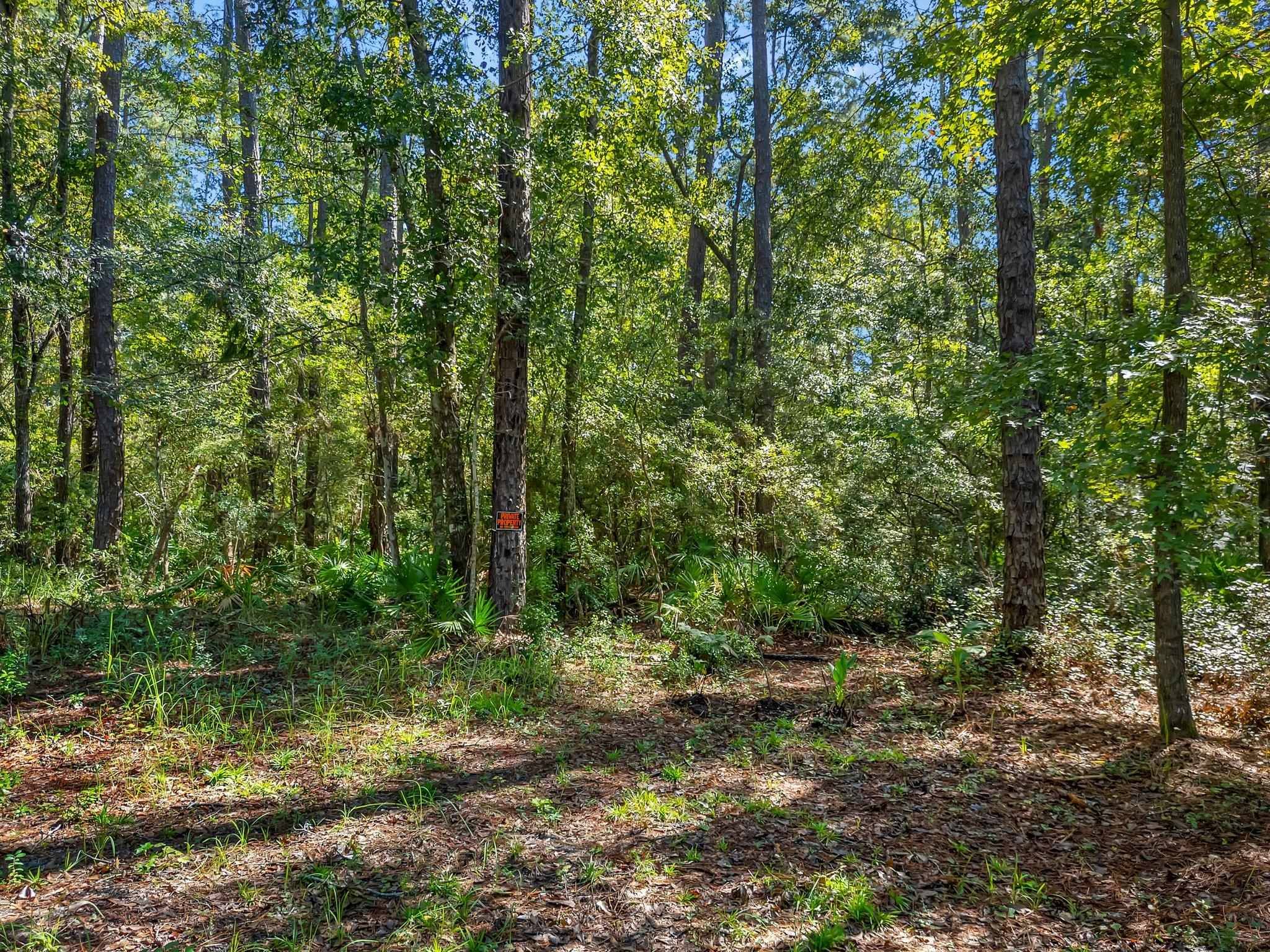 Tallahassee, FL 32317,xxxx S JEFFERSON Road
