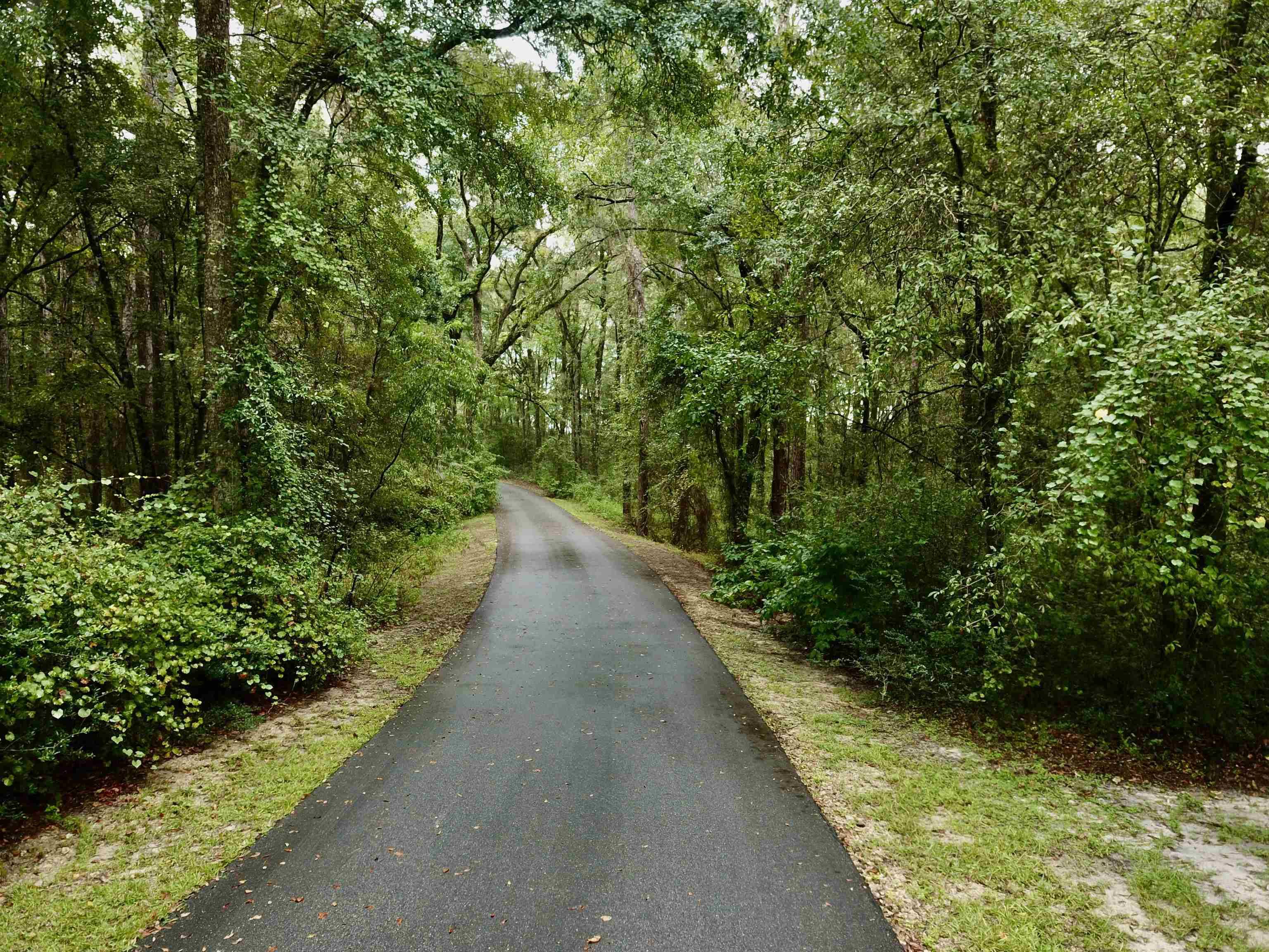 Crawfordville, FL 32327,788 Lonnie Raker Lane