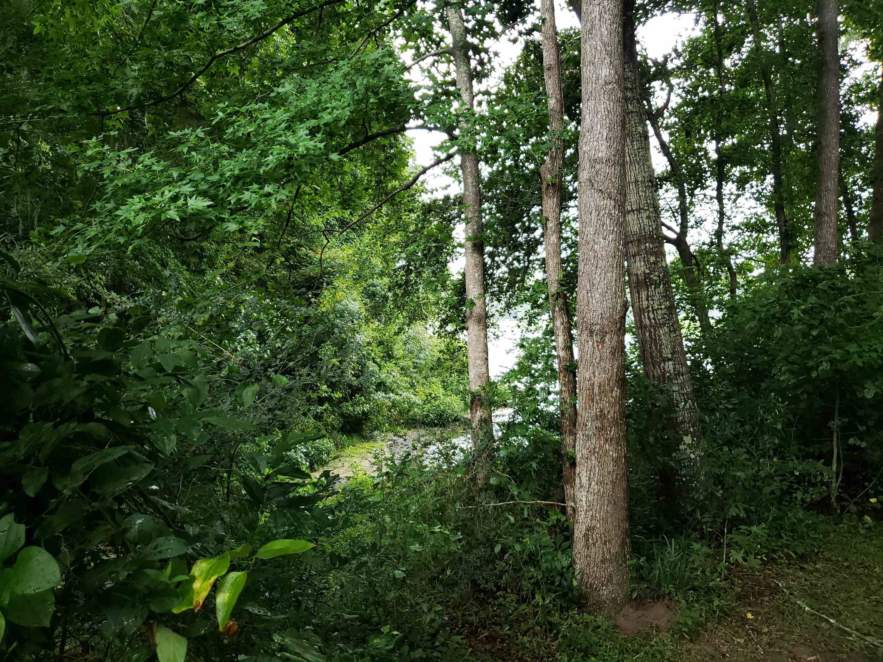 Tallahassee, FL 32309,3344 Charleston Road