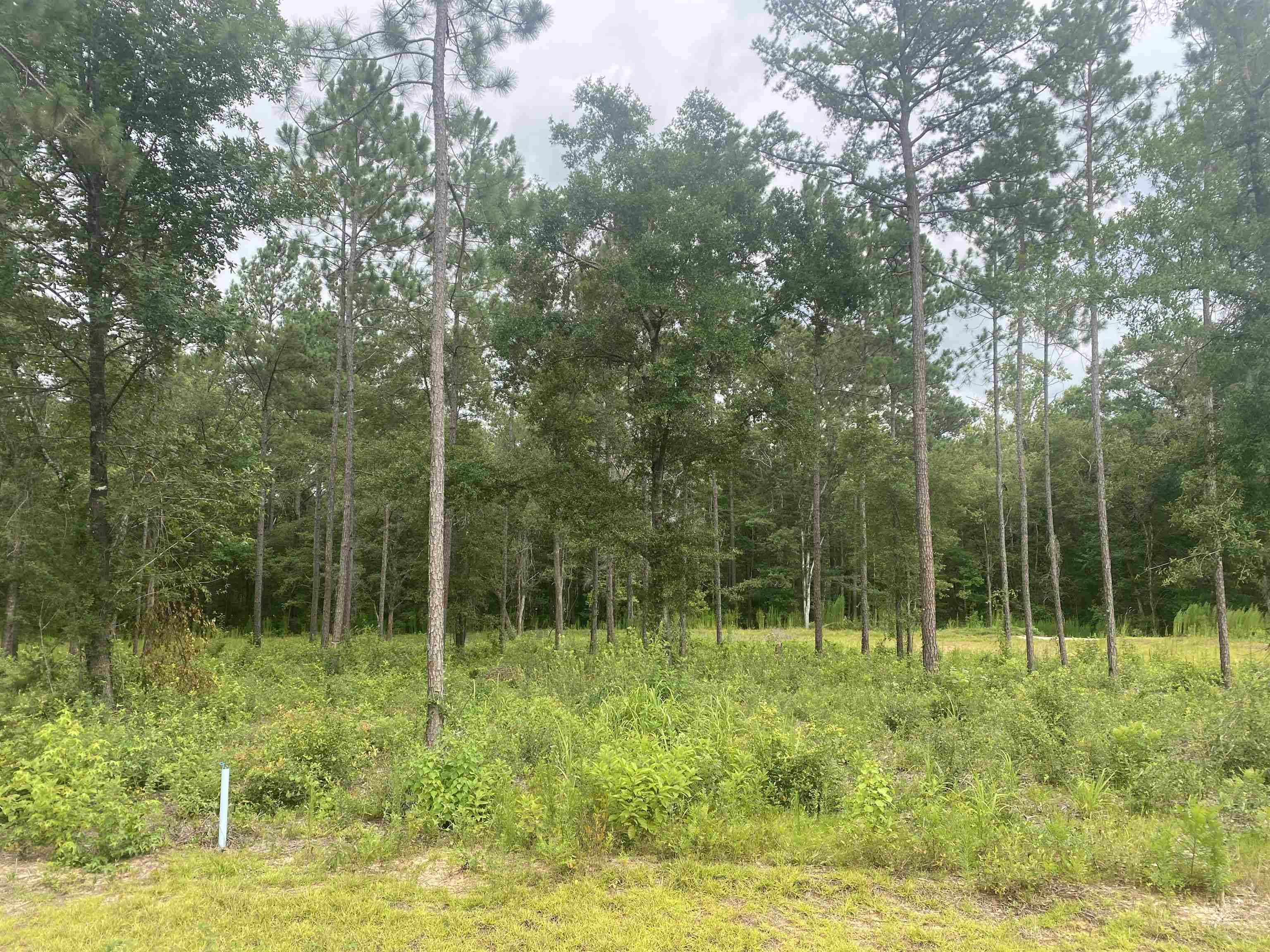 Tallahassee, FL 32309,Lot 8 Porch Farm Way