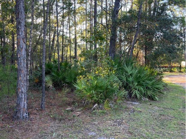 Carrabelle, FL 32322,315 BAYWOOD Drive